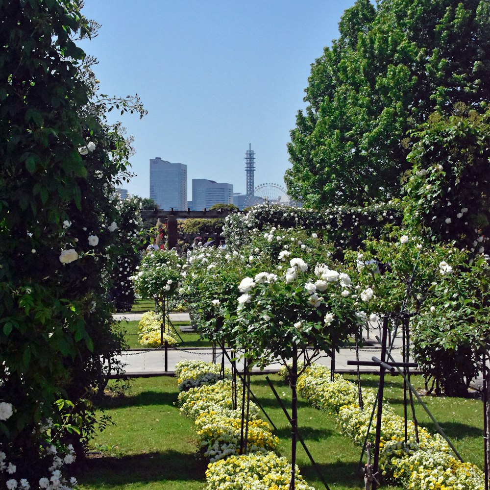 un parc rempli de nombreux arbres et fleurs