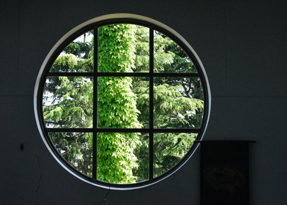 a round window with a view of a tree outside