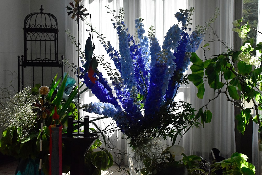 a vase filled with blue flowers next to a window