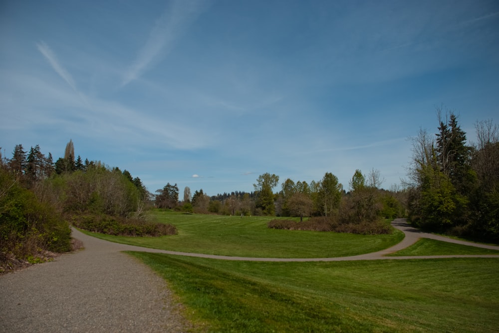 a path winds through a lush green field