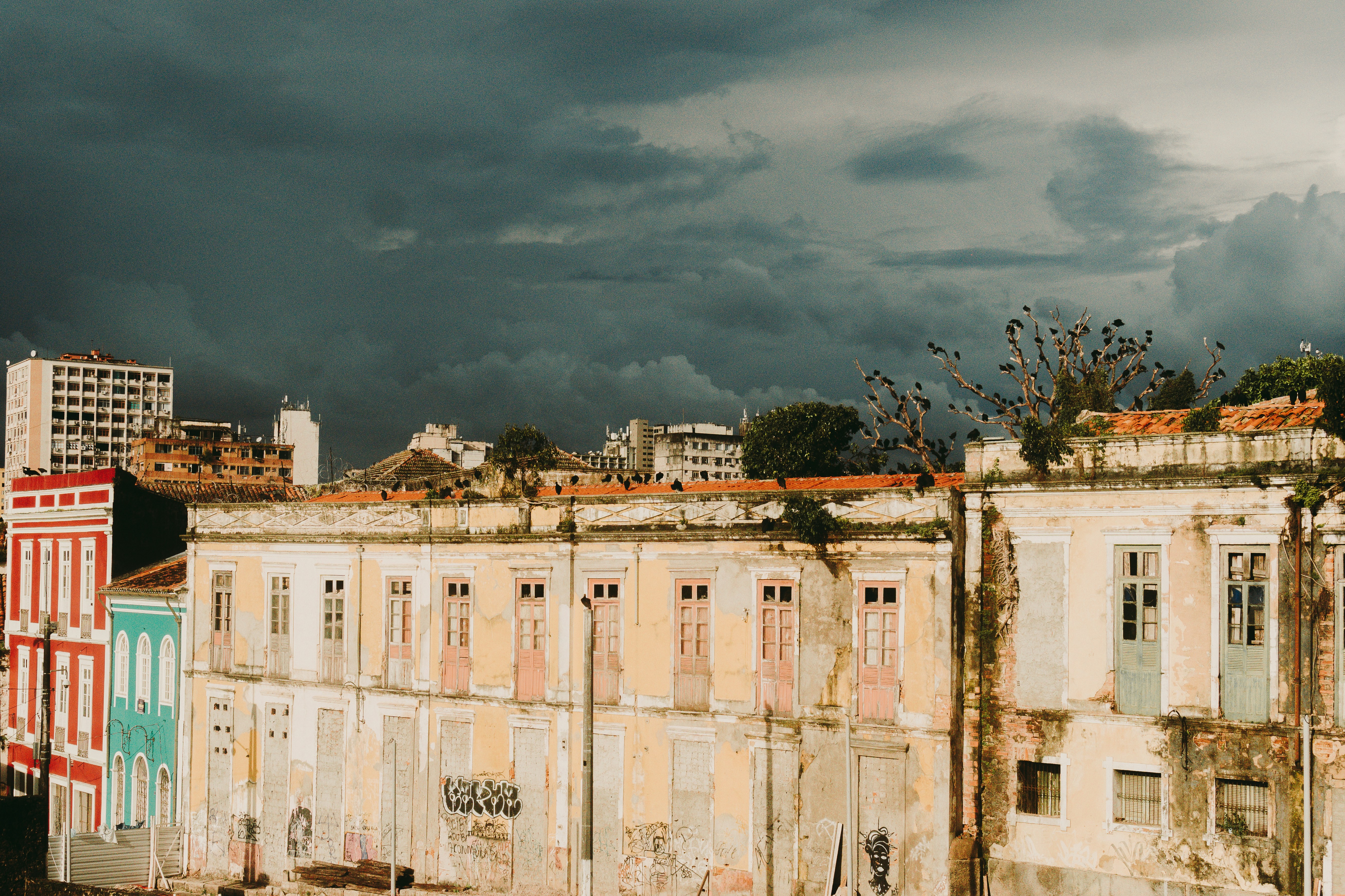 Photo by ojeanleal