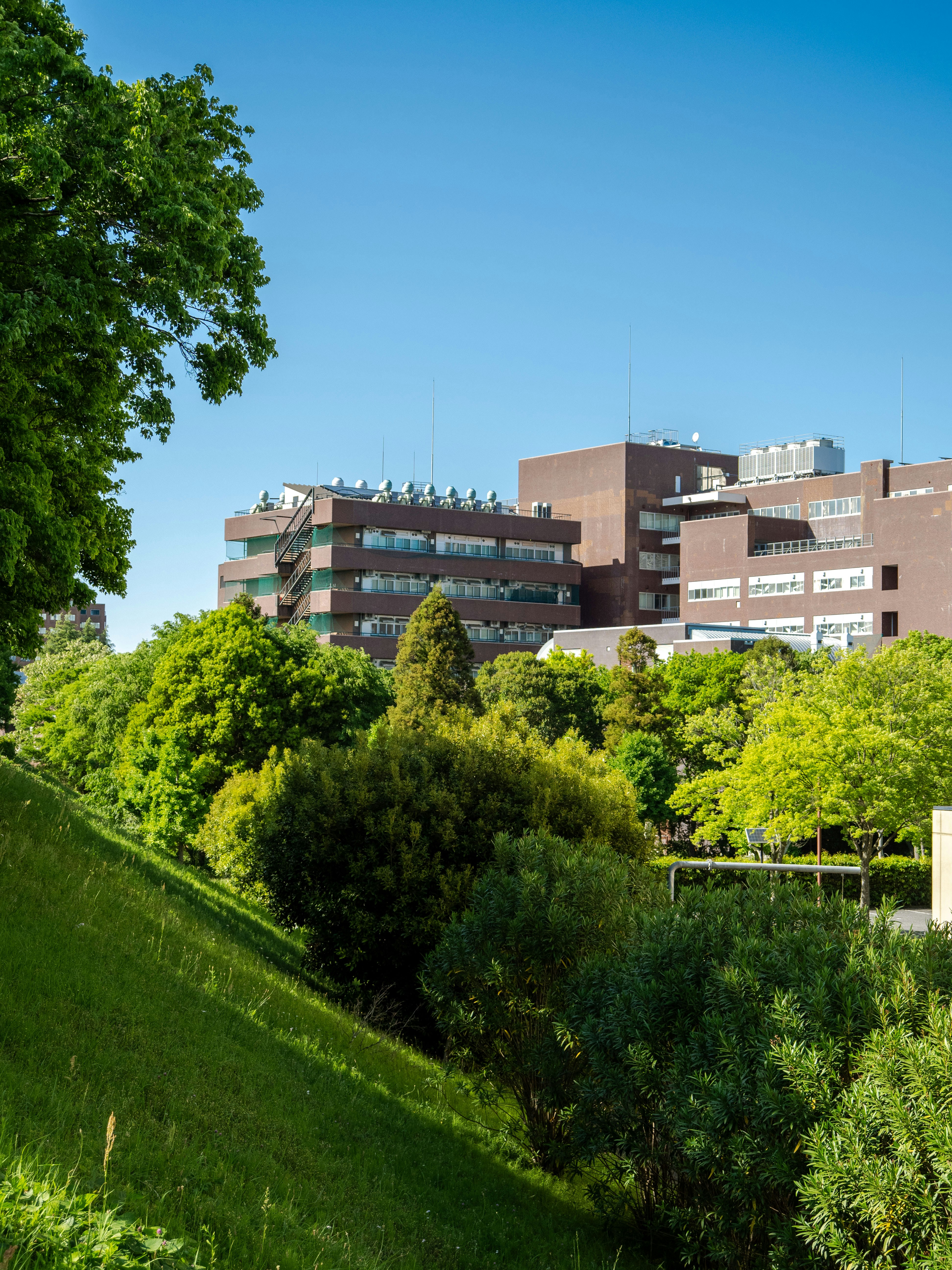 Photo by shellingfordyu