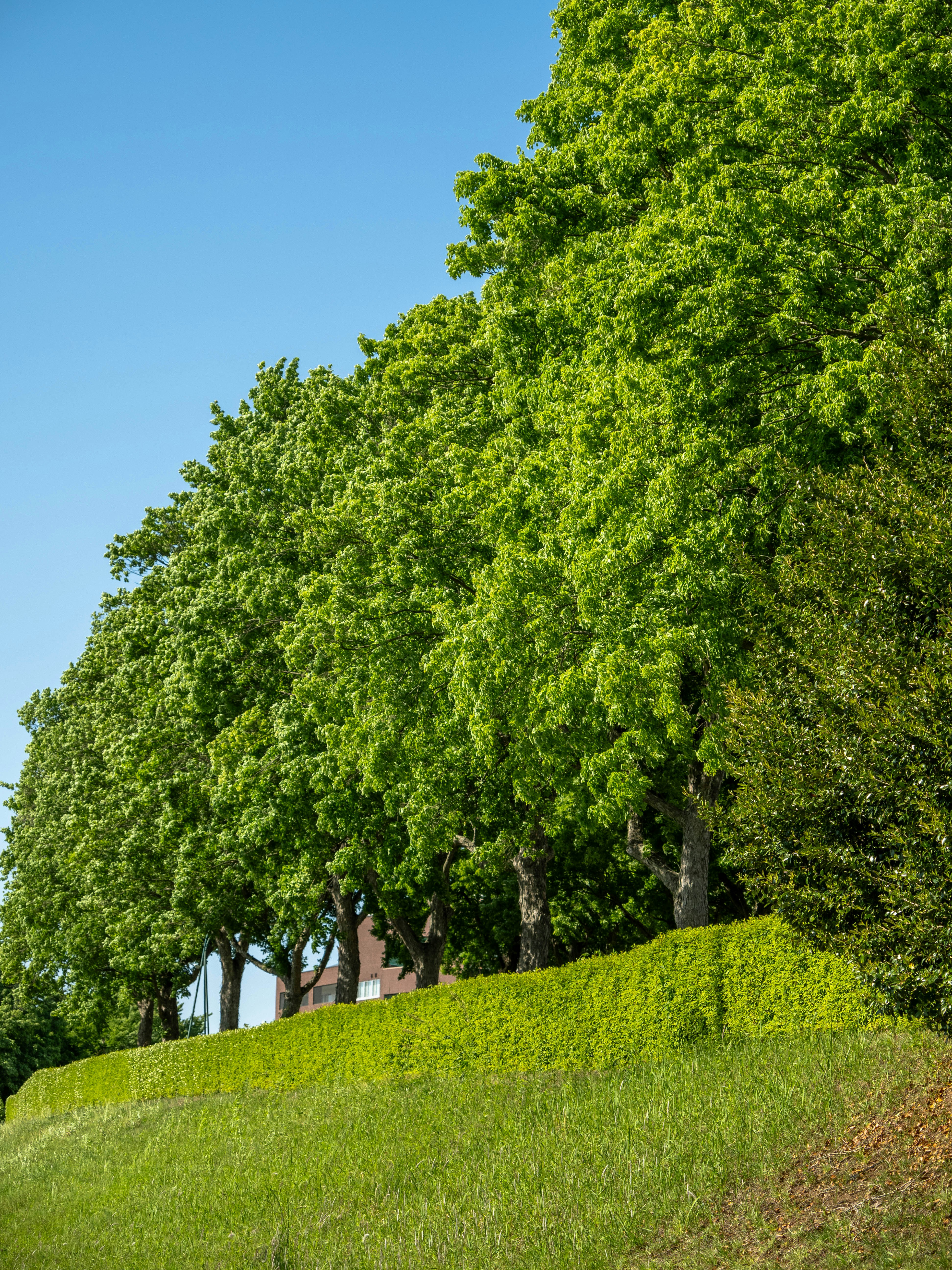 Photo by shellingfordyu