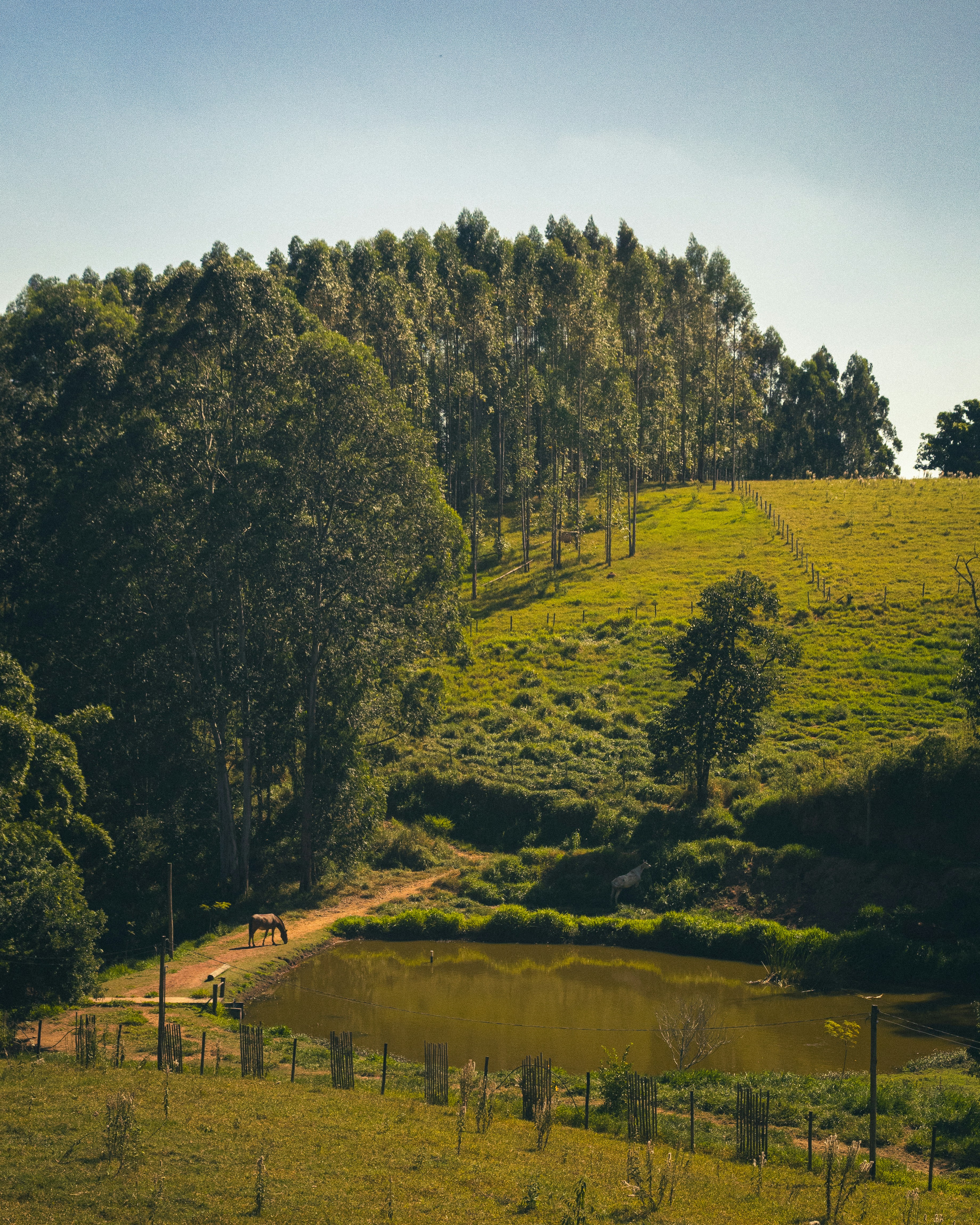 Photo by lucasdalamartaphoto