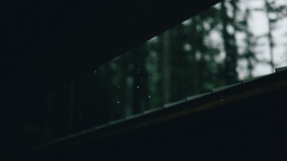 Una veduta di un bosco attraverso una finestra