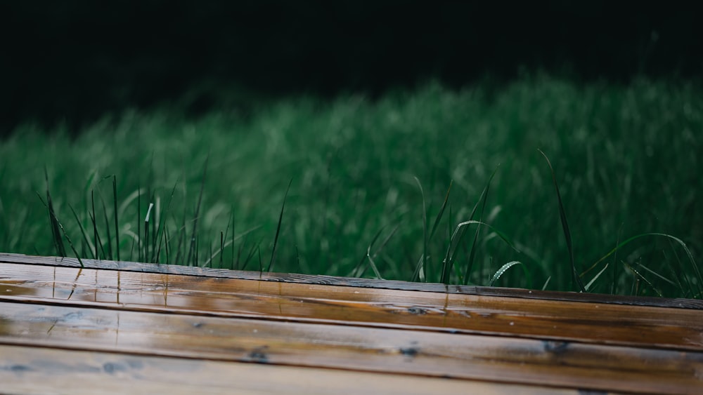 a wooden bench sitting in front of a lush green field