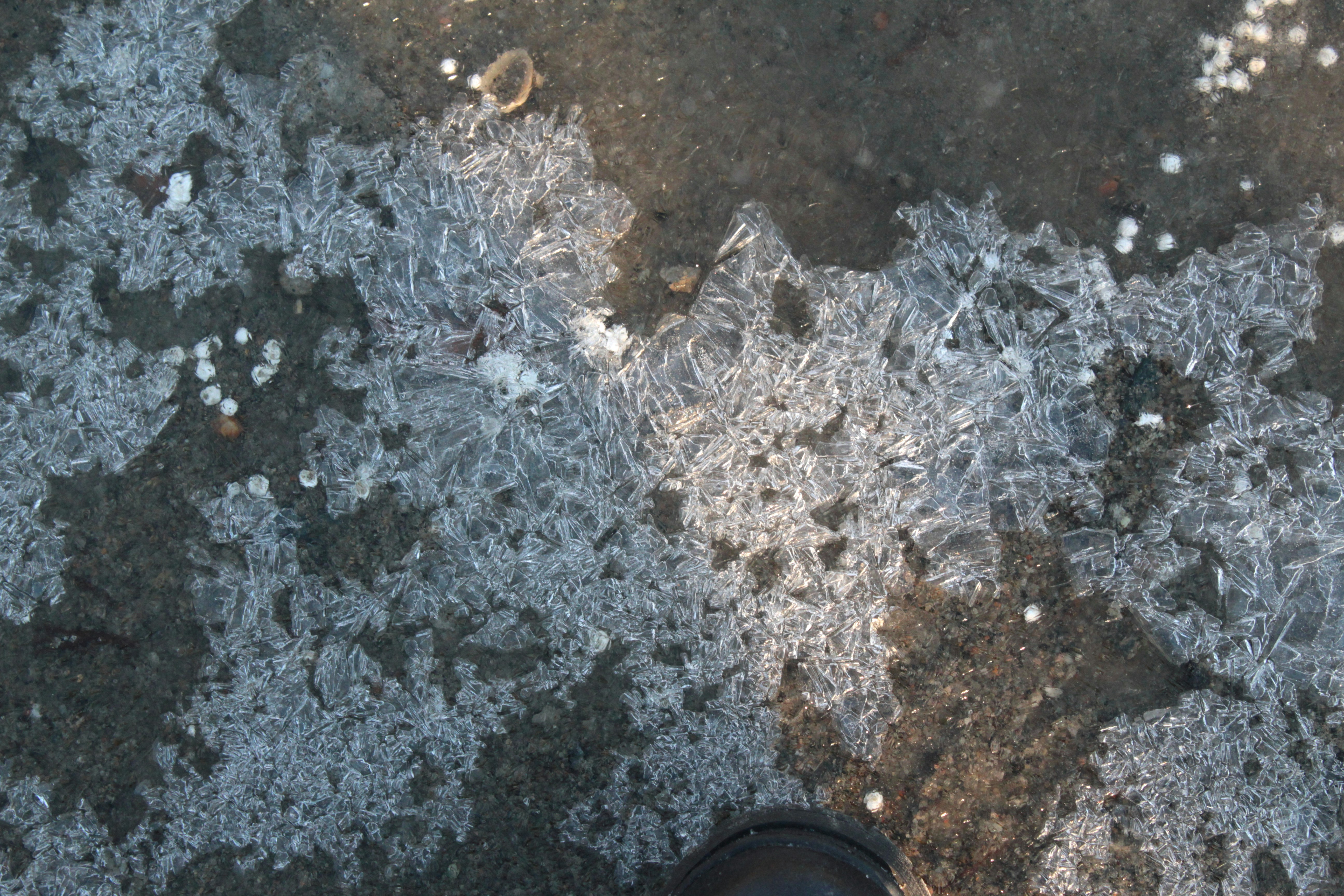 a pair of black shoes standing on top of a snow covered ground