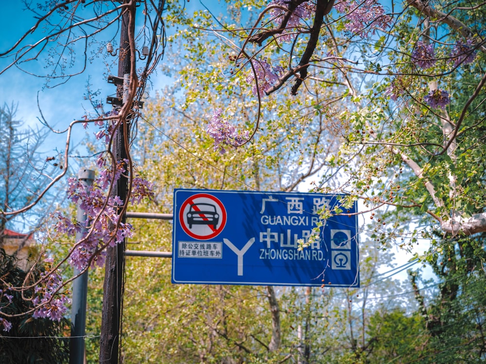 a blue street sign sitting next to a lush green forest