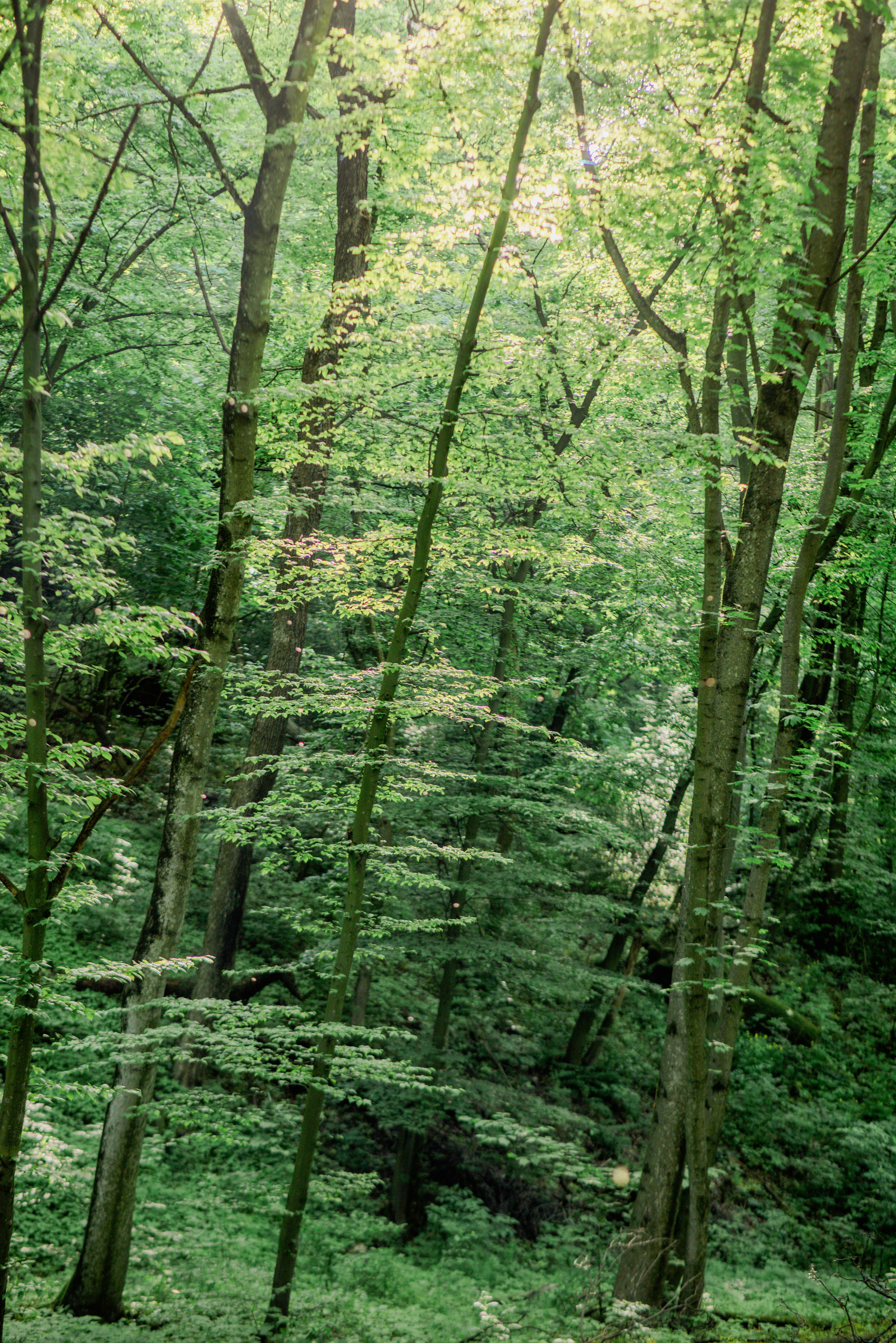 Photo by eugenivy_now