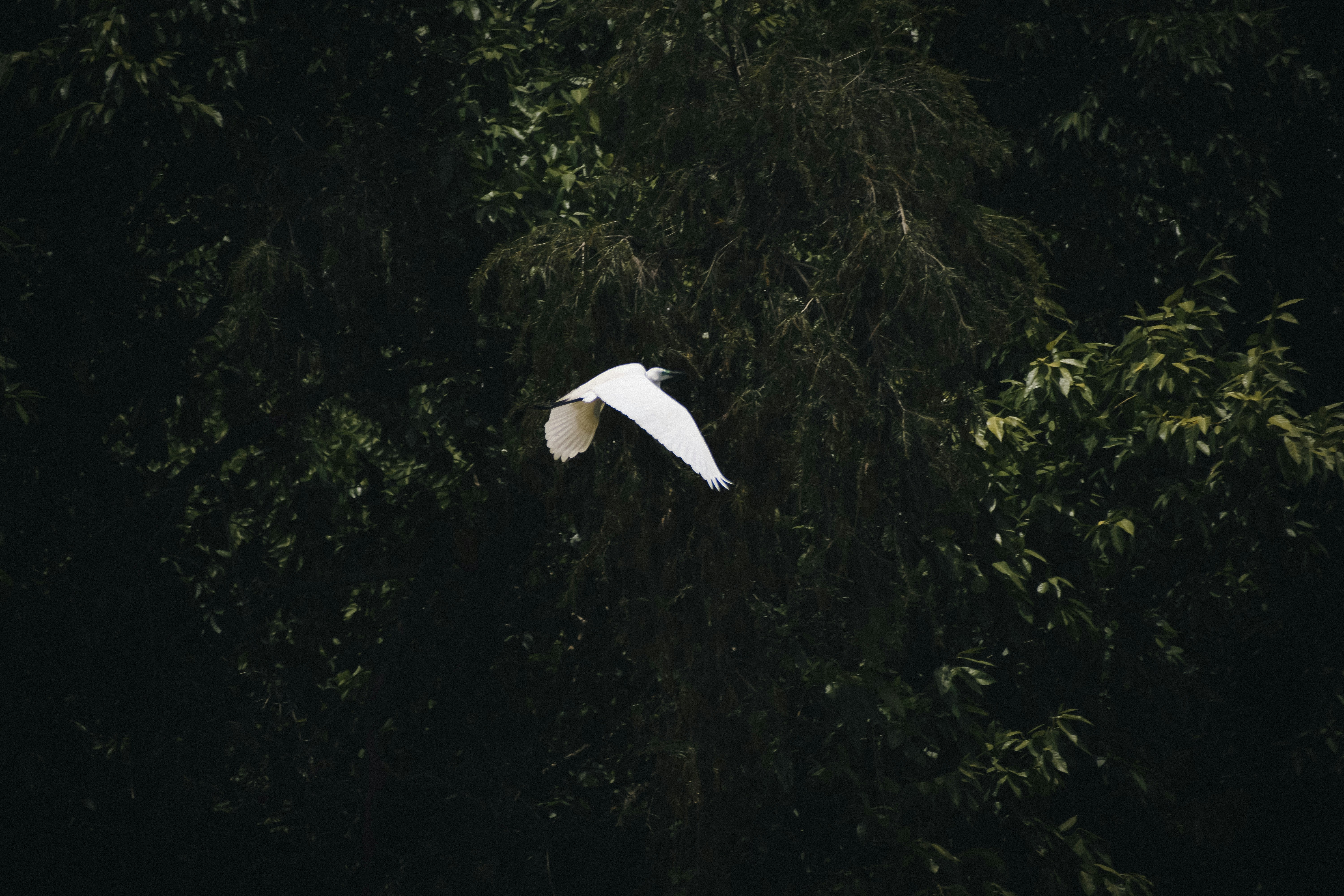 Photo by garv_4