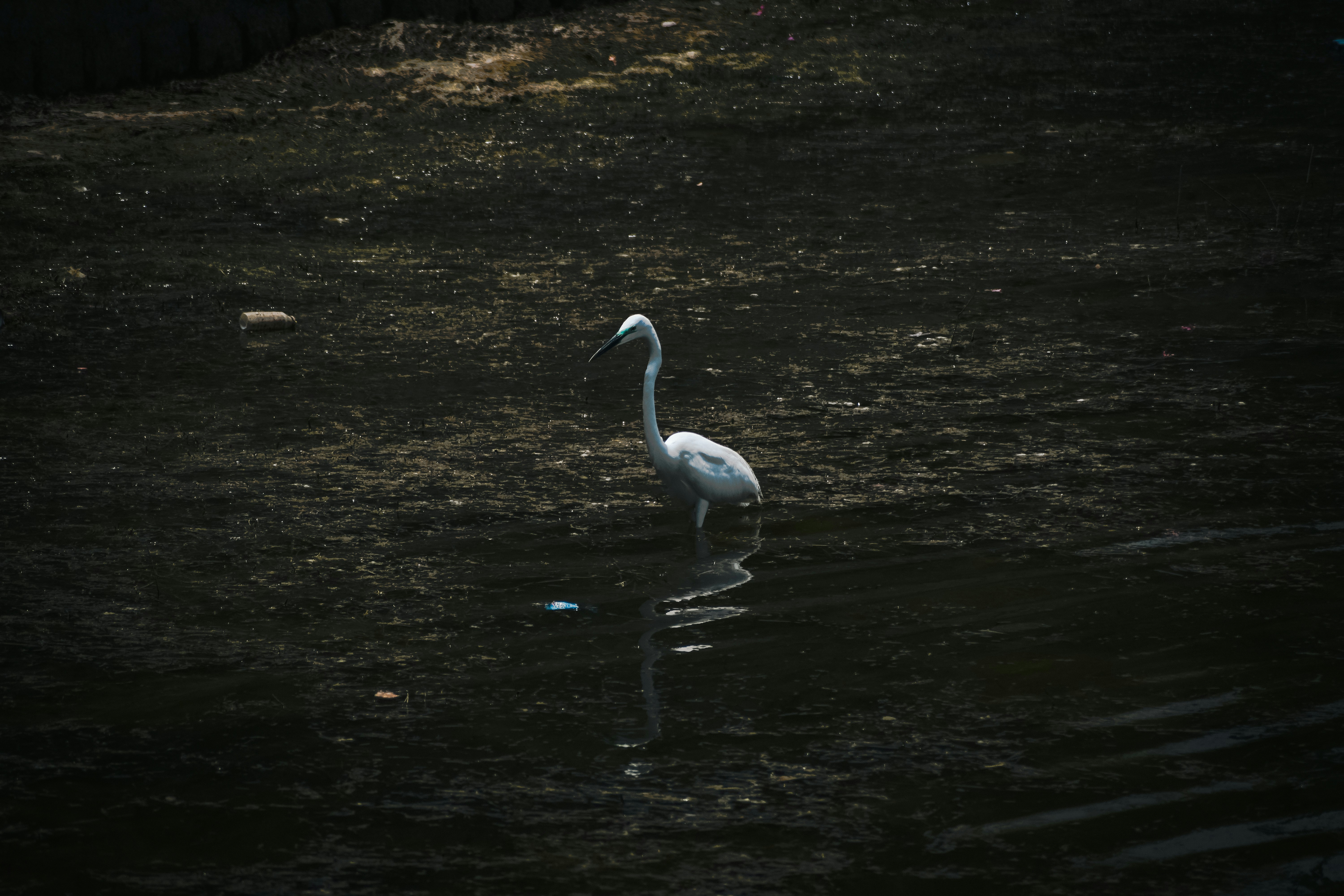 Photo by garv_4