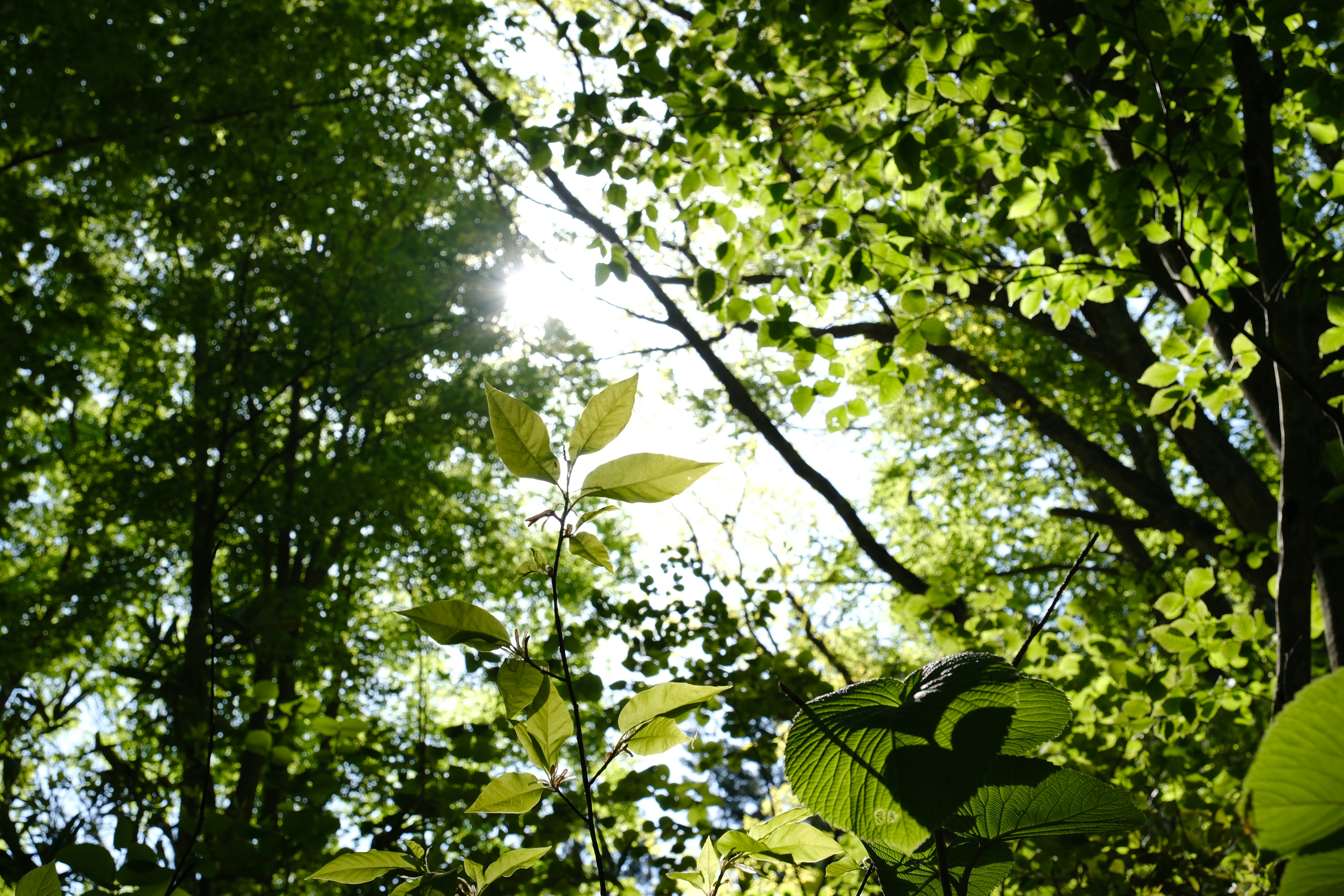 Photo by seiya_maeda