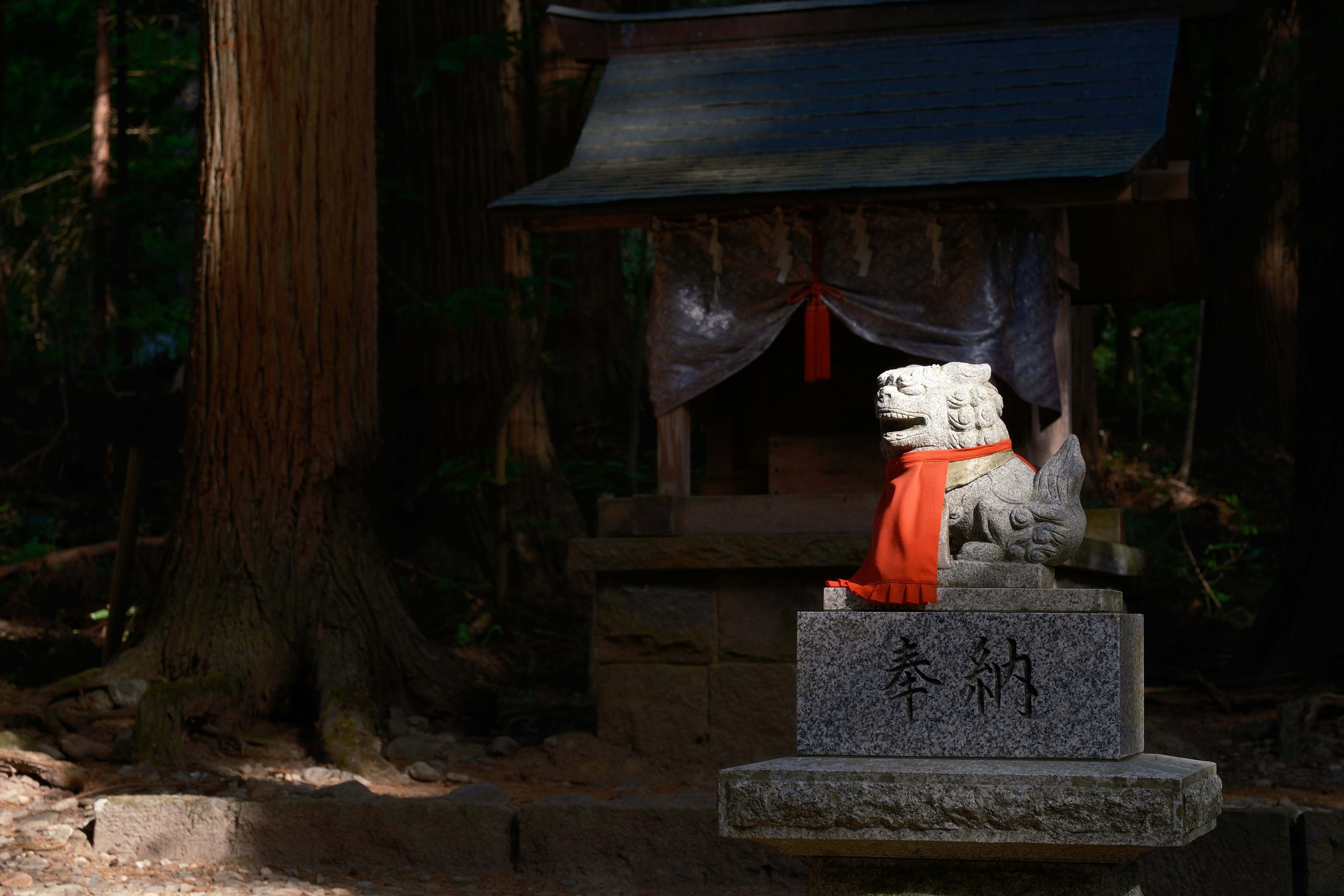 Sacred temple dog statue