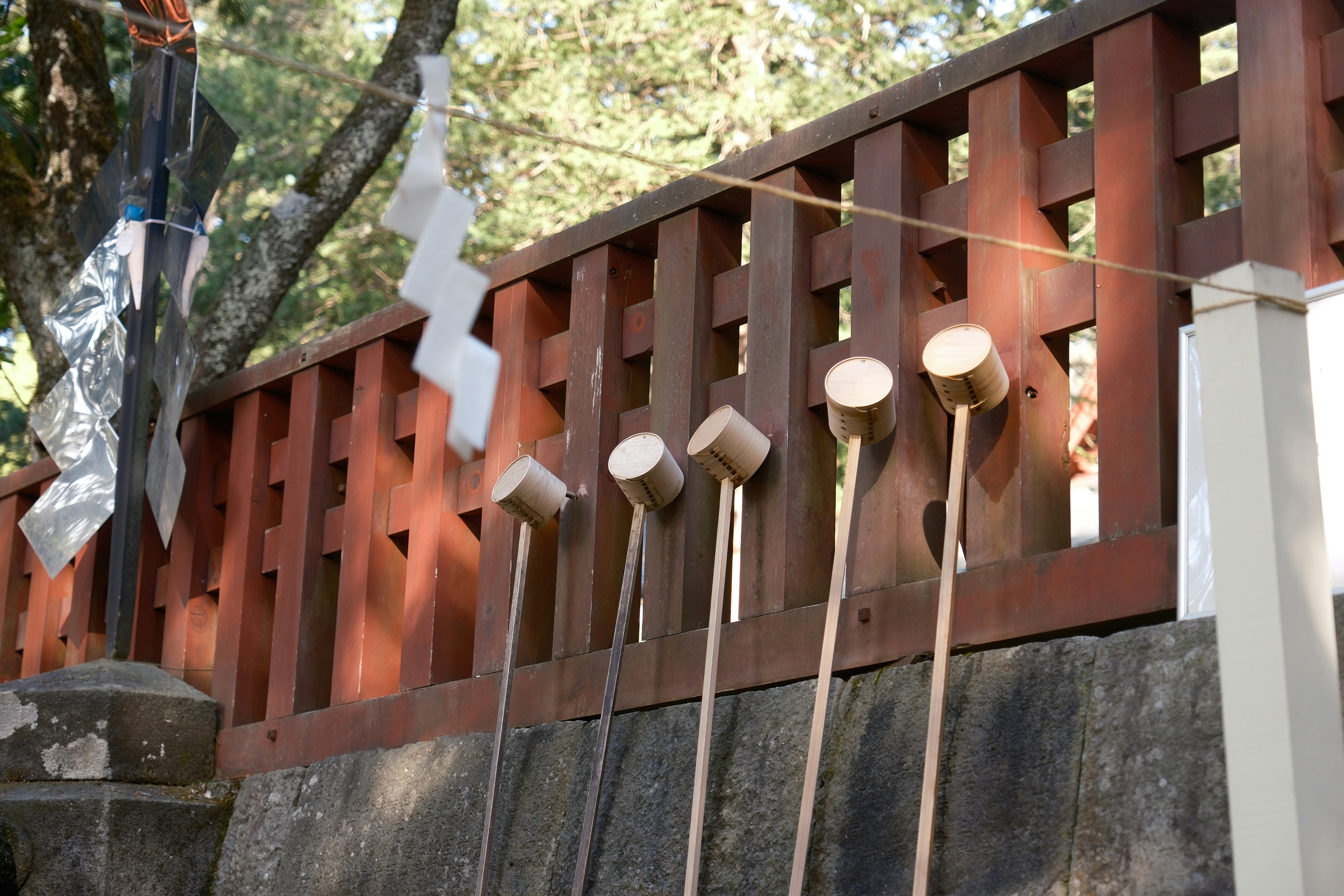 Photo by seiya_maeda