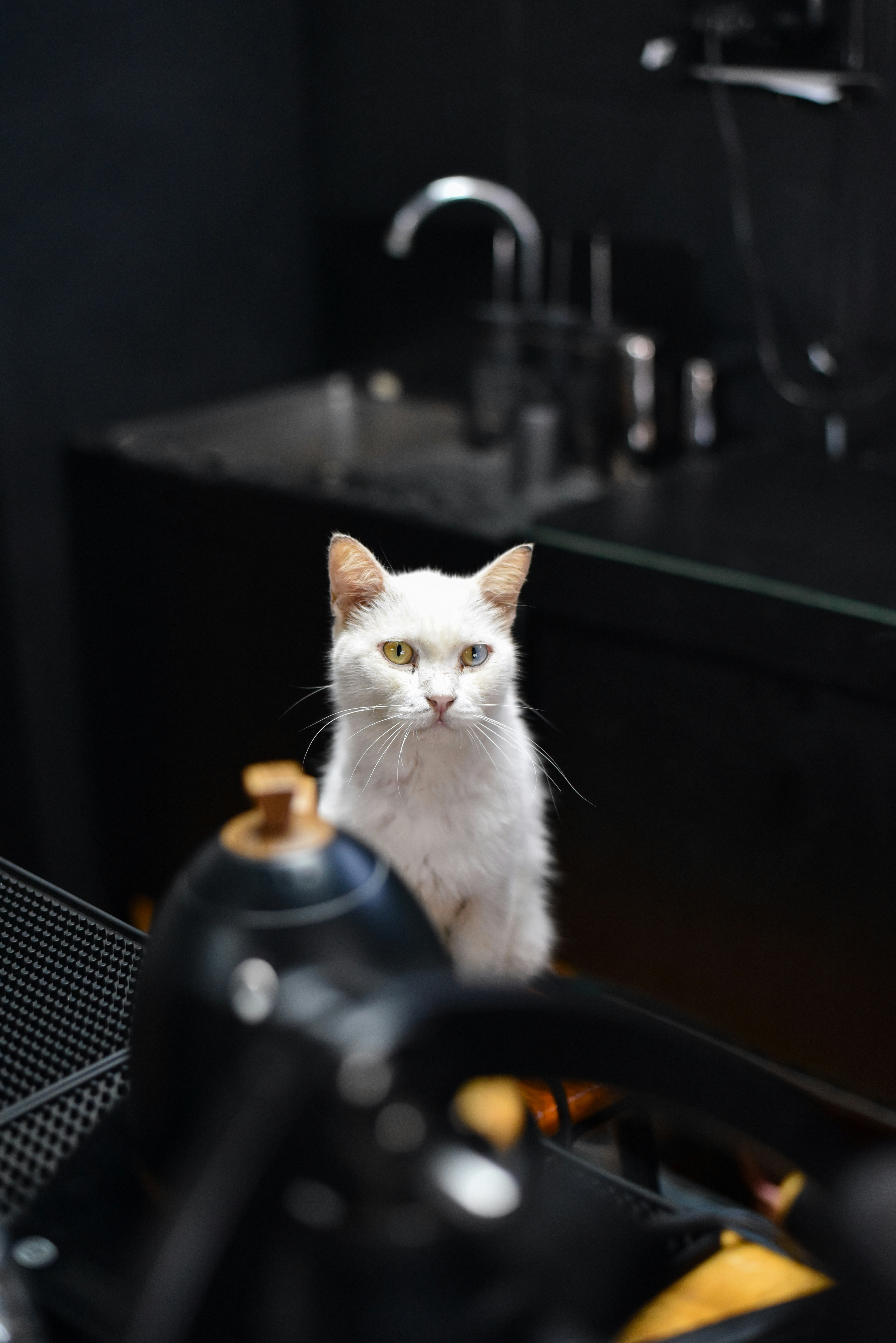 The Giant Metal Food Bowl (The Dishwasher) (image credits: unsplash)