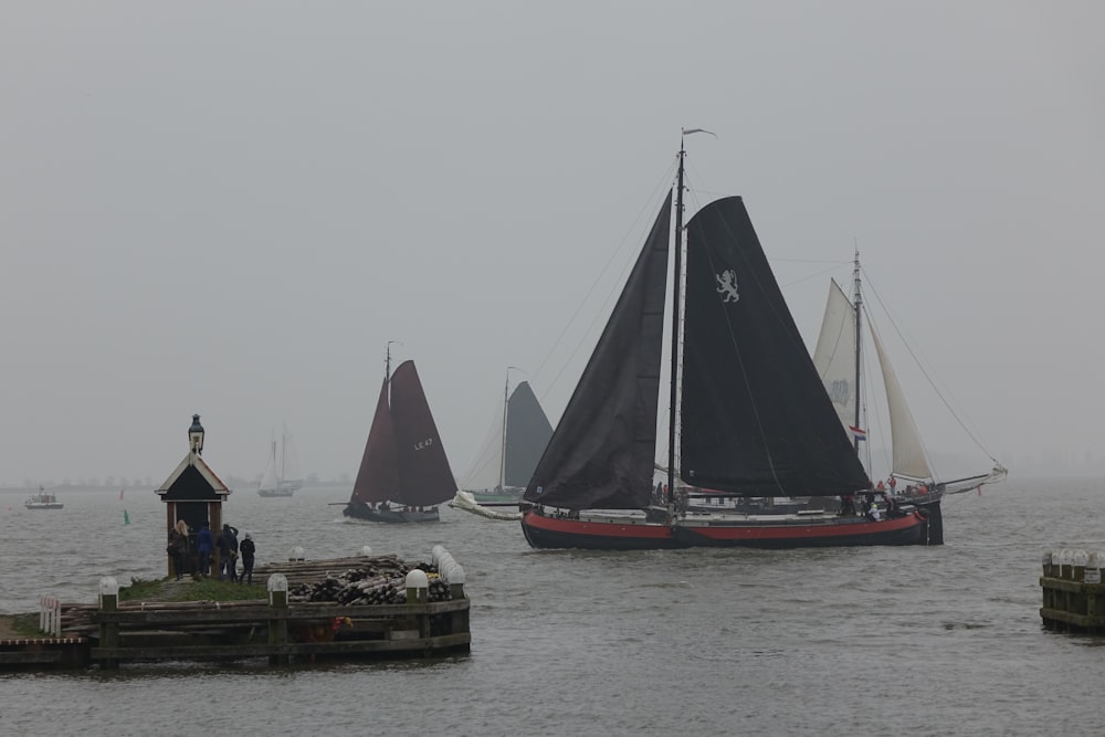 a group of sailboats sailing on a body of water