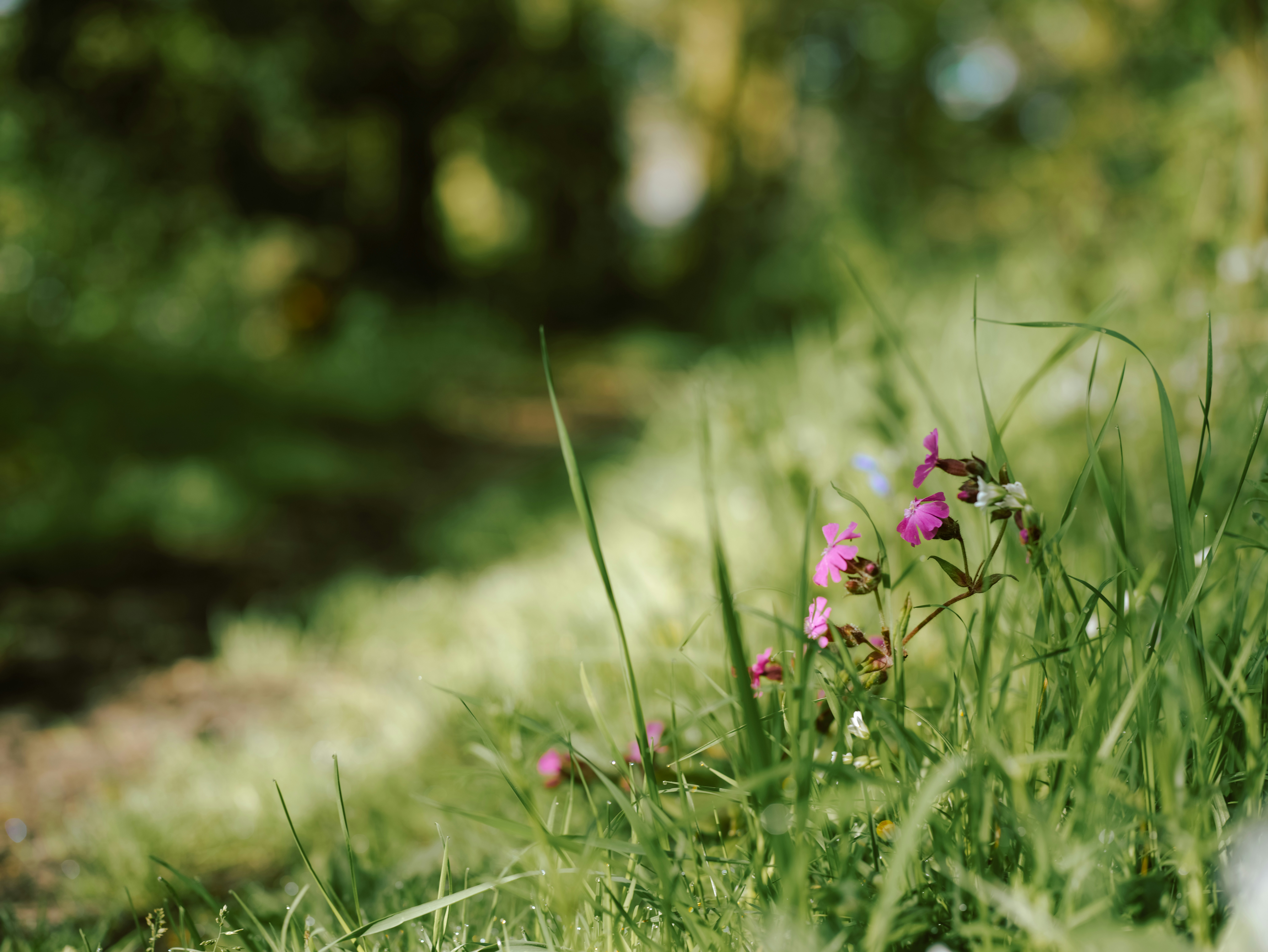 Photo by anniespratt