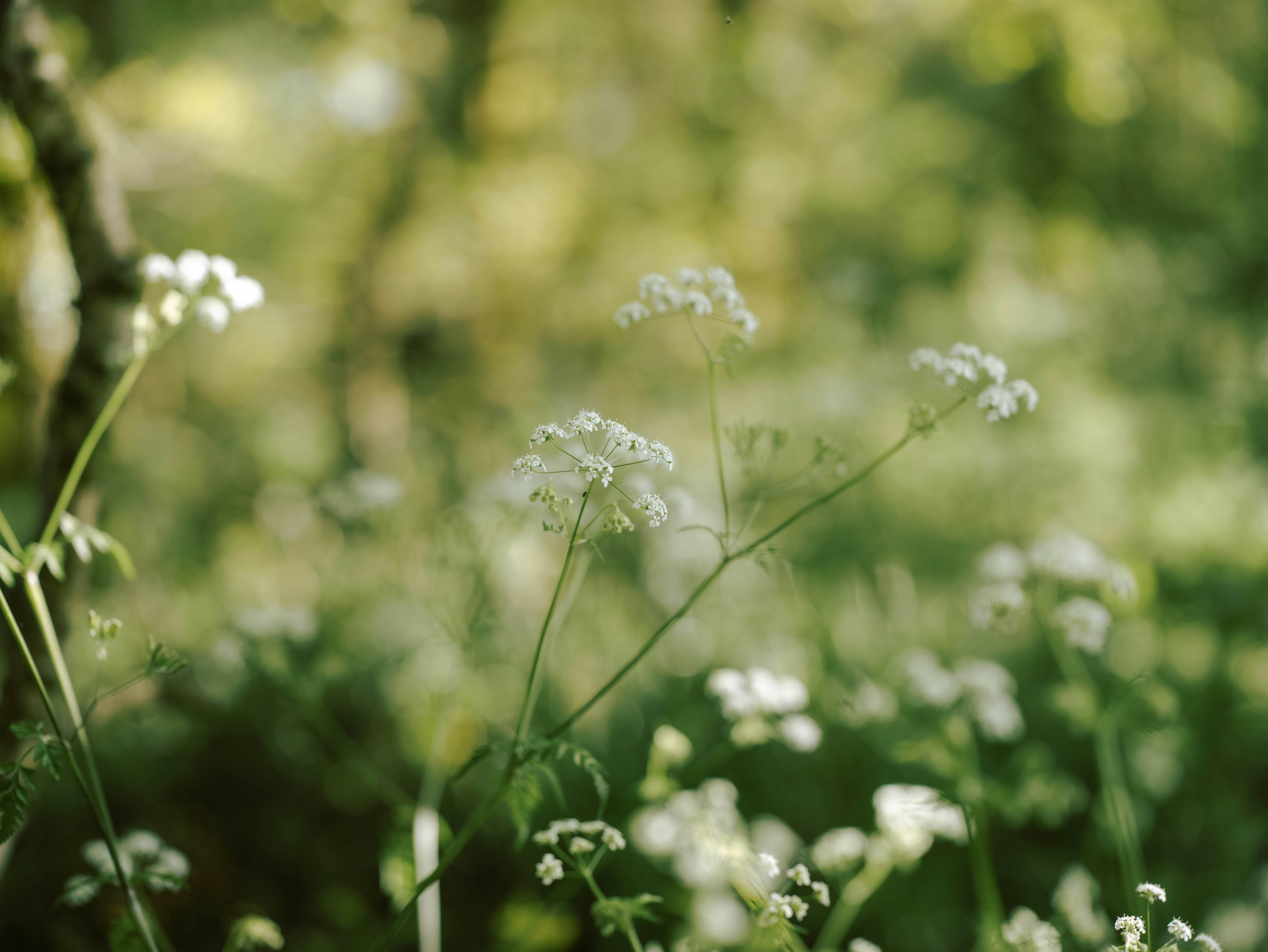 Photo by anniespratt