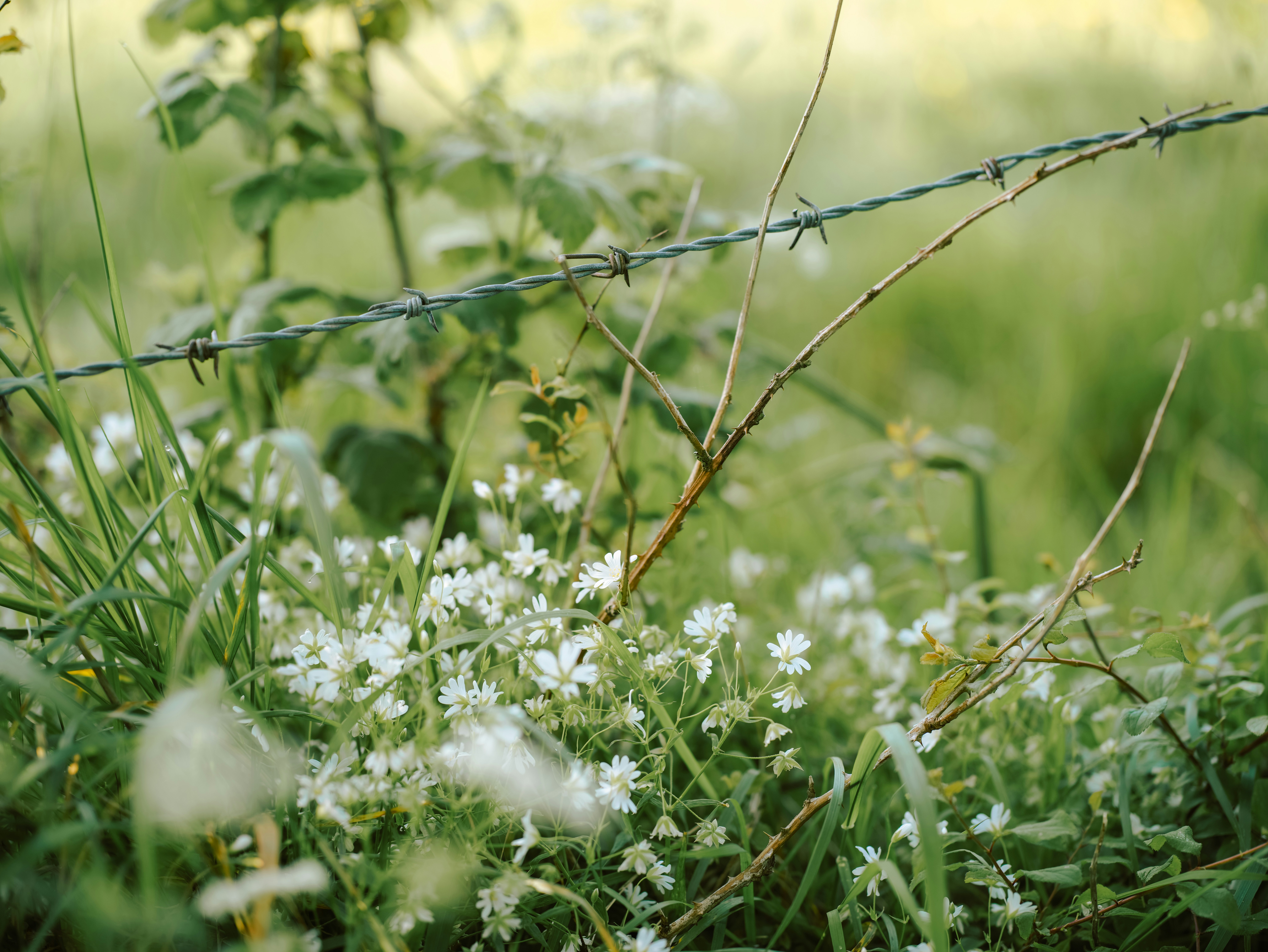 Photo by anniespratt