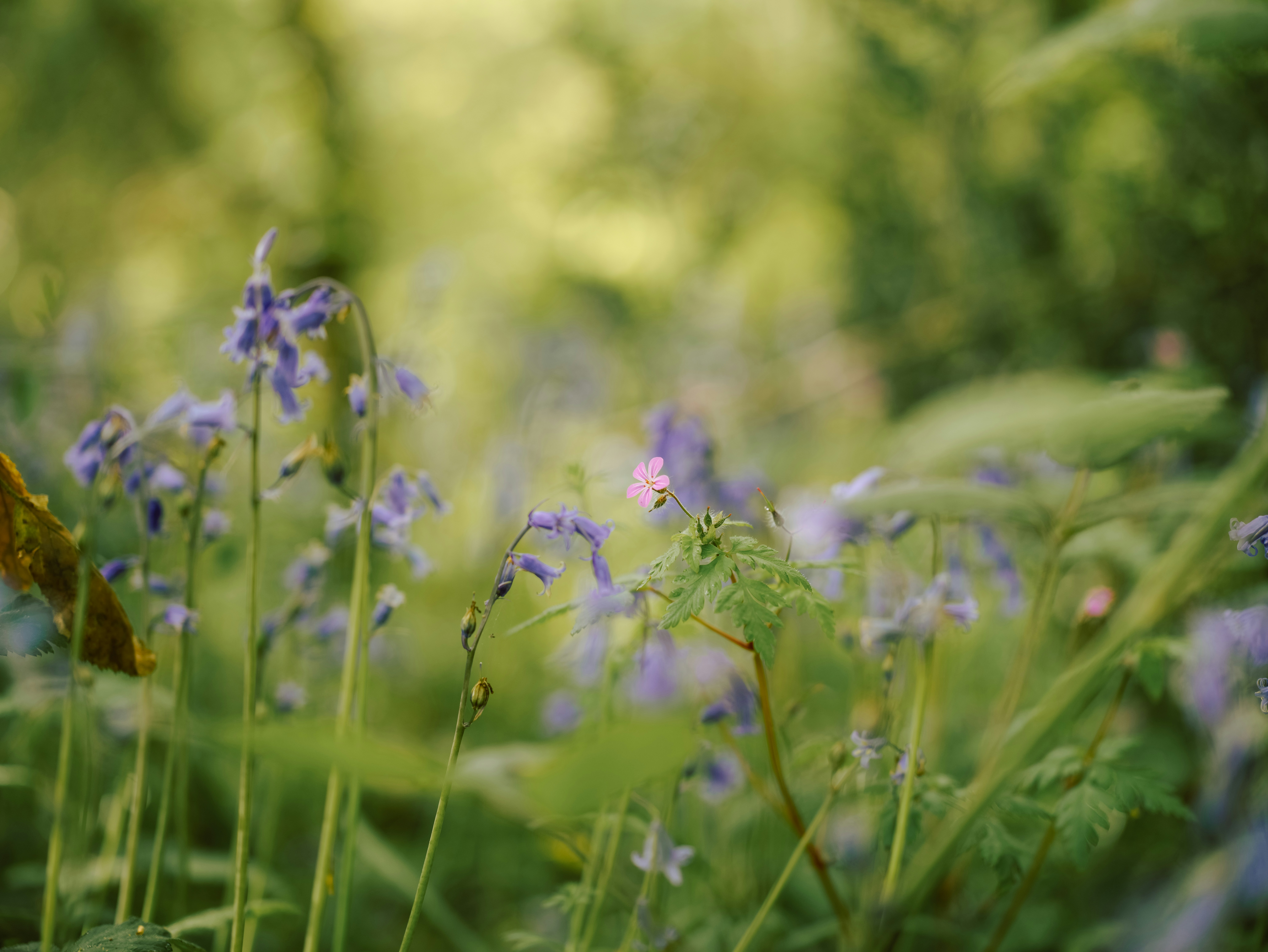 Photo by anniespratt