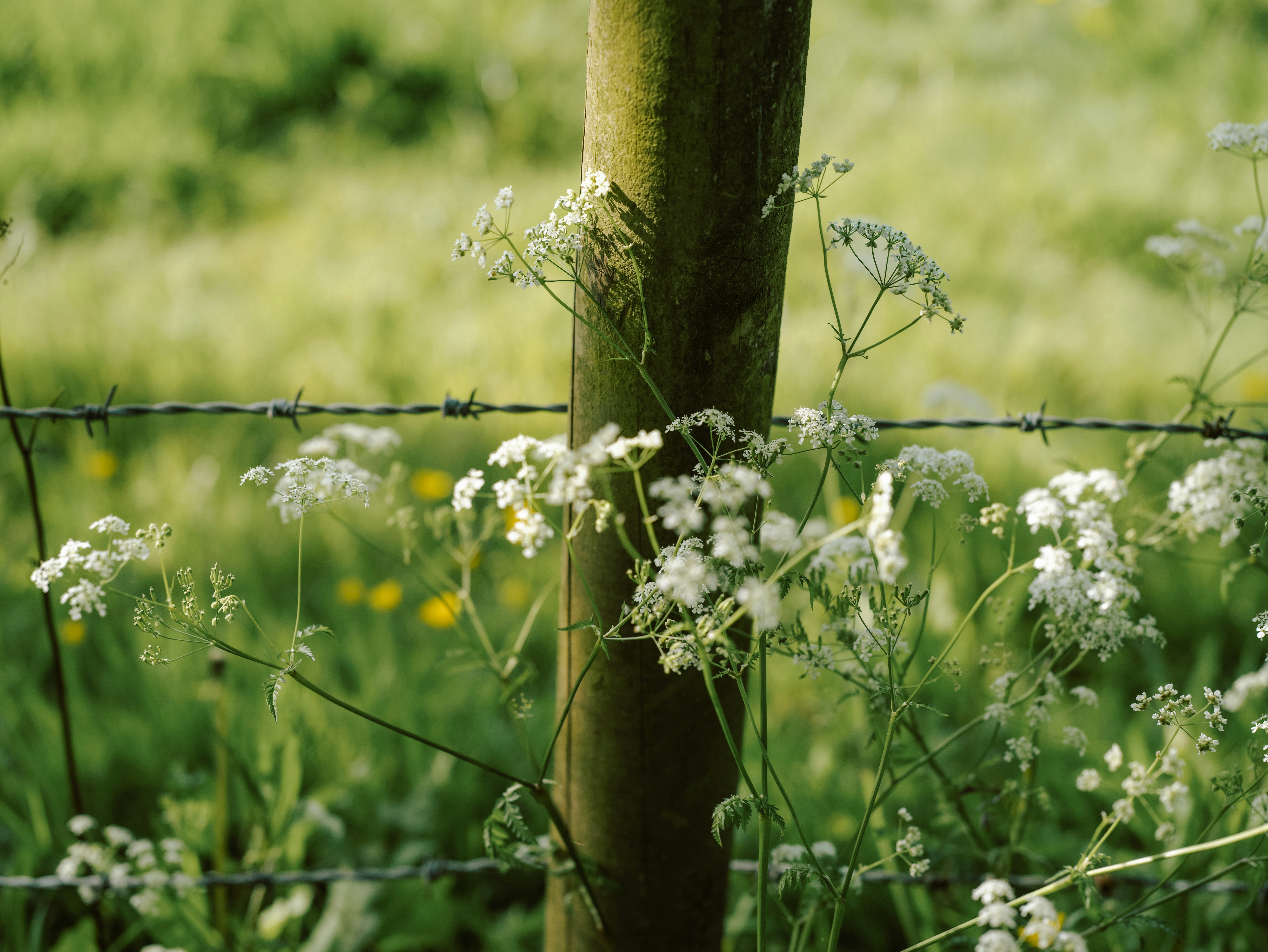 Photo by anniespratt