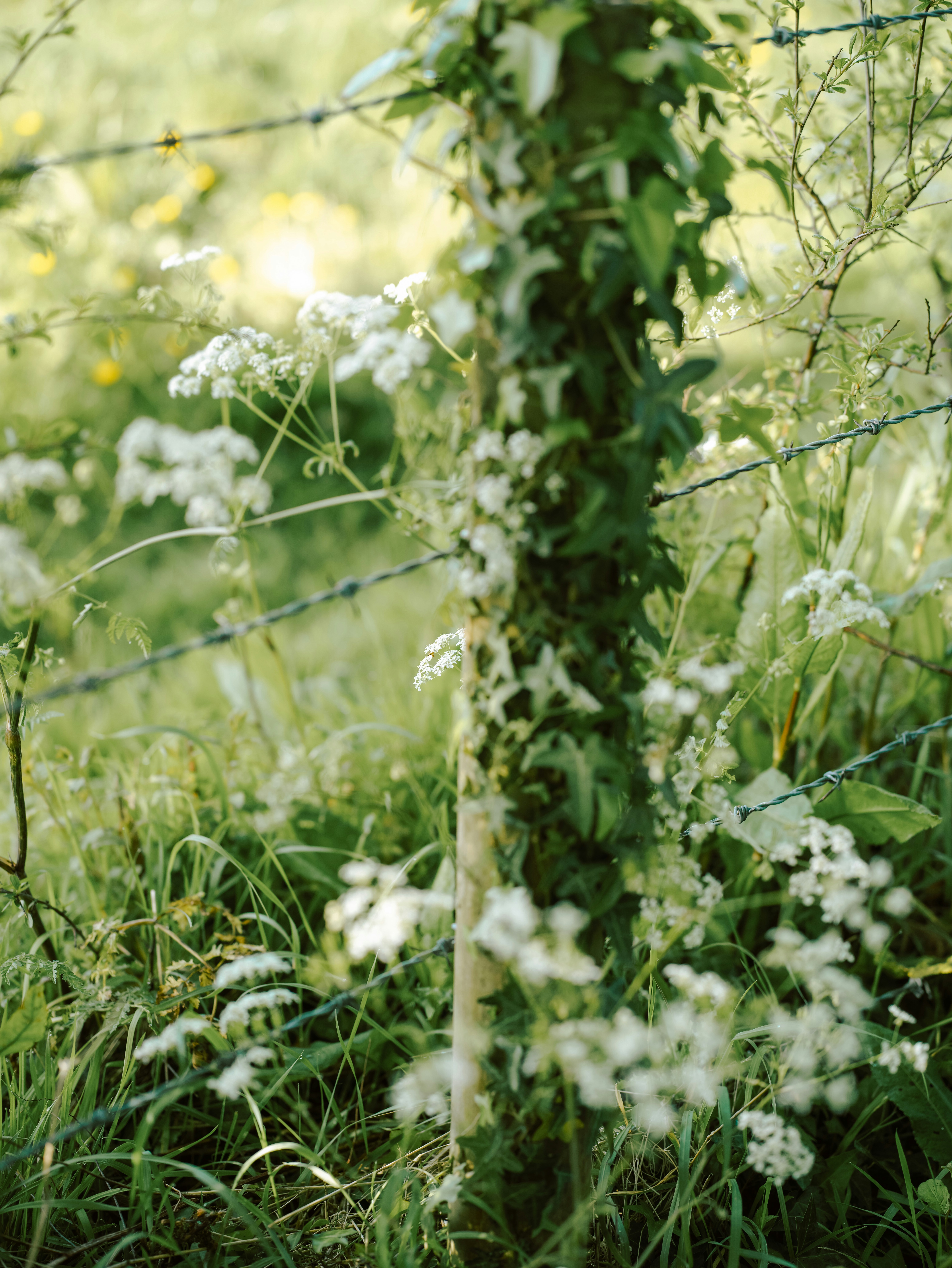 Photo by anniespratt