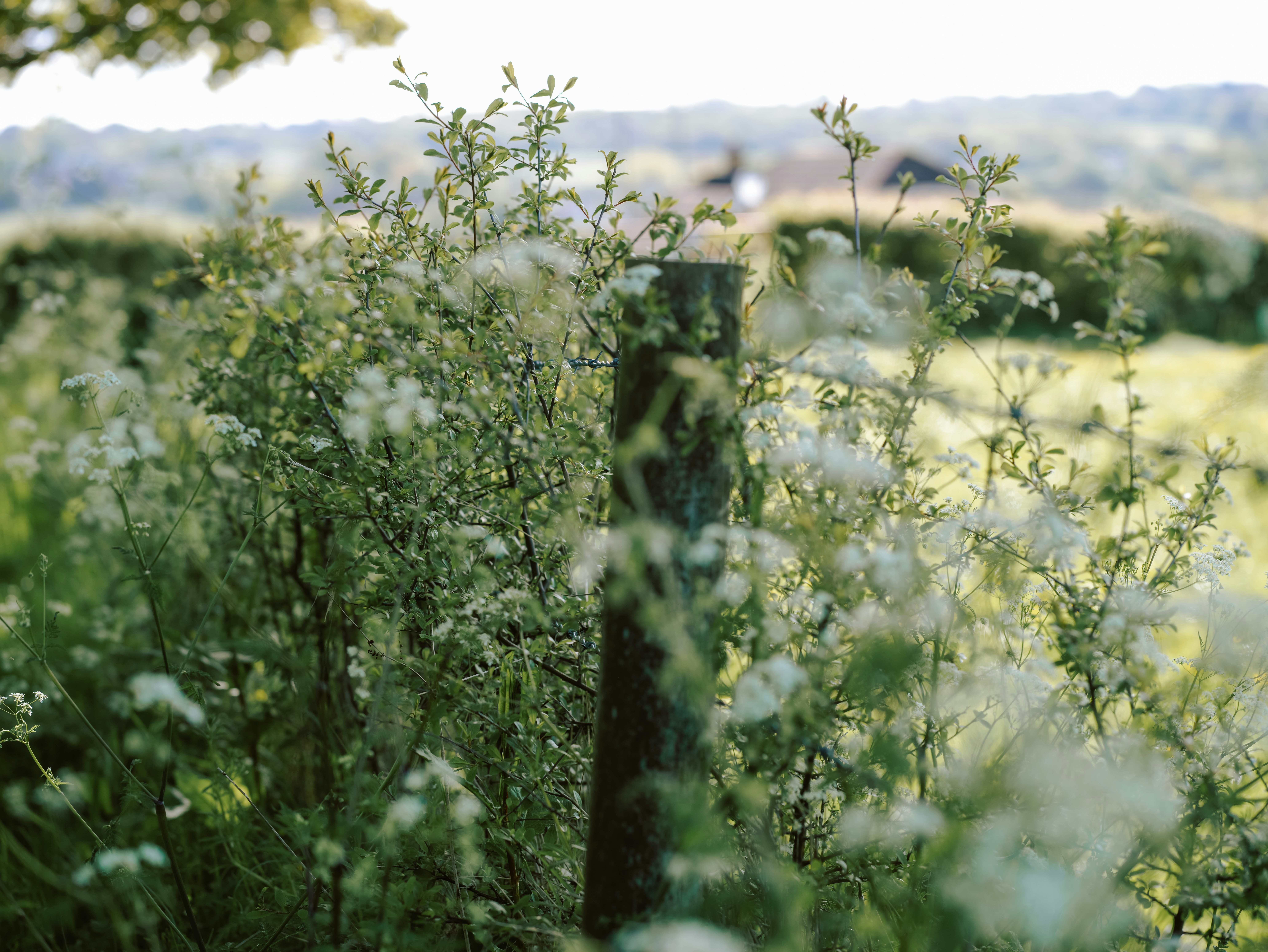 Photo by anniespratt