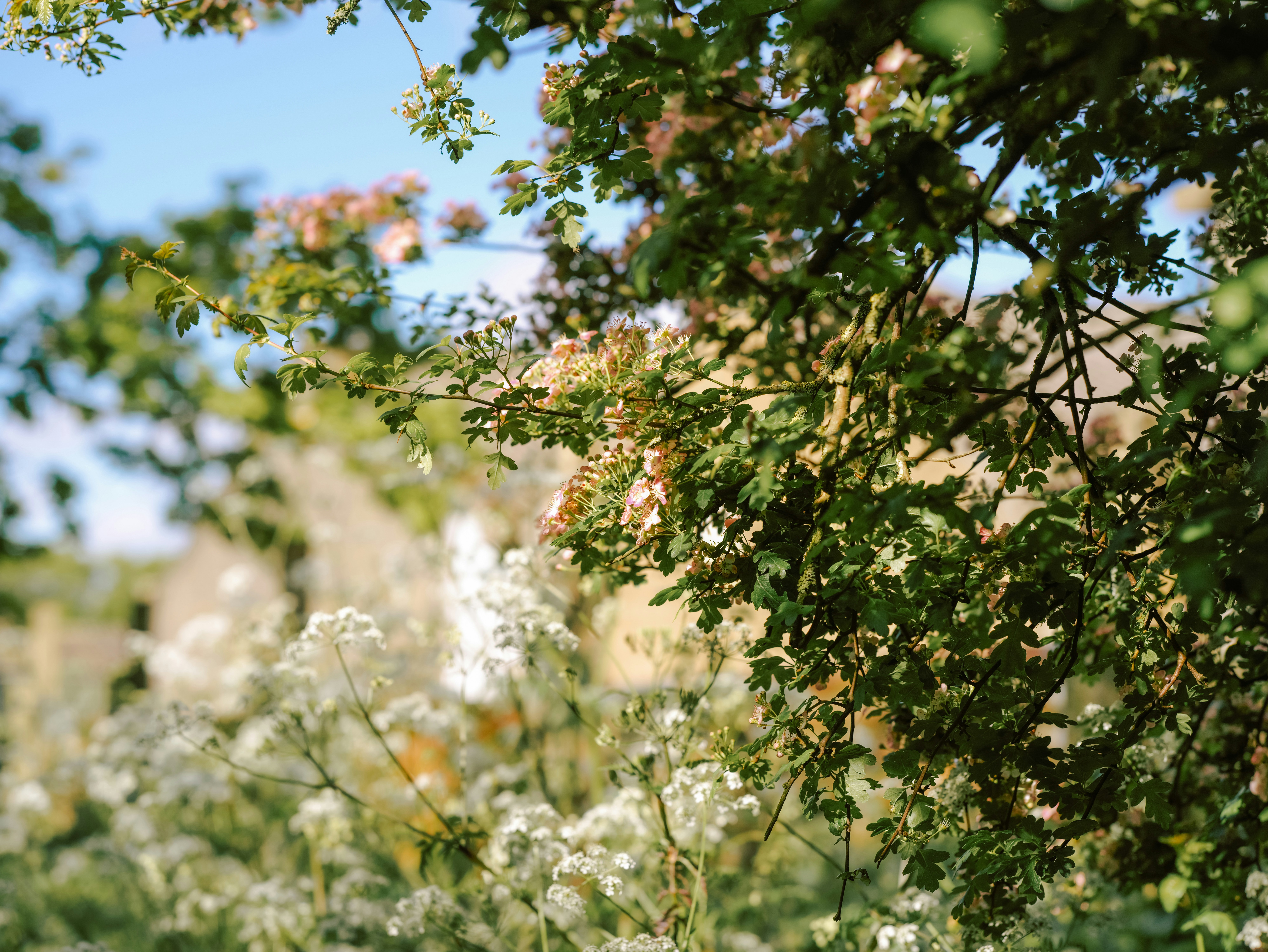 Photo by anniespratt