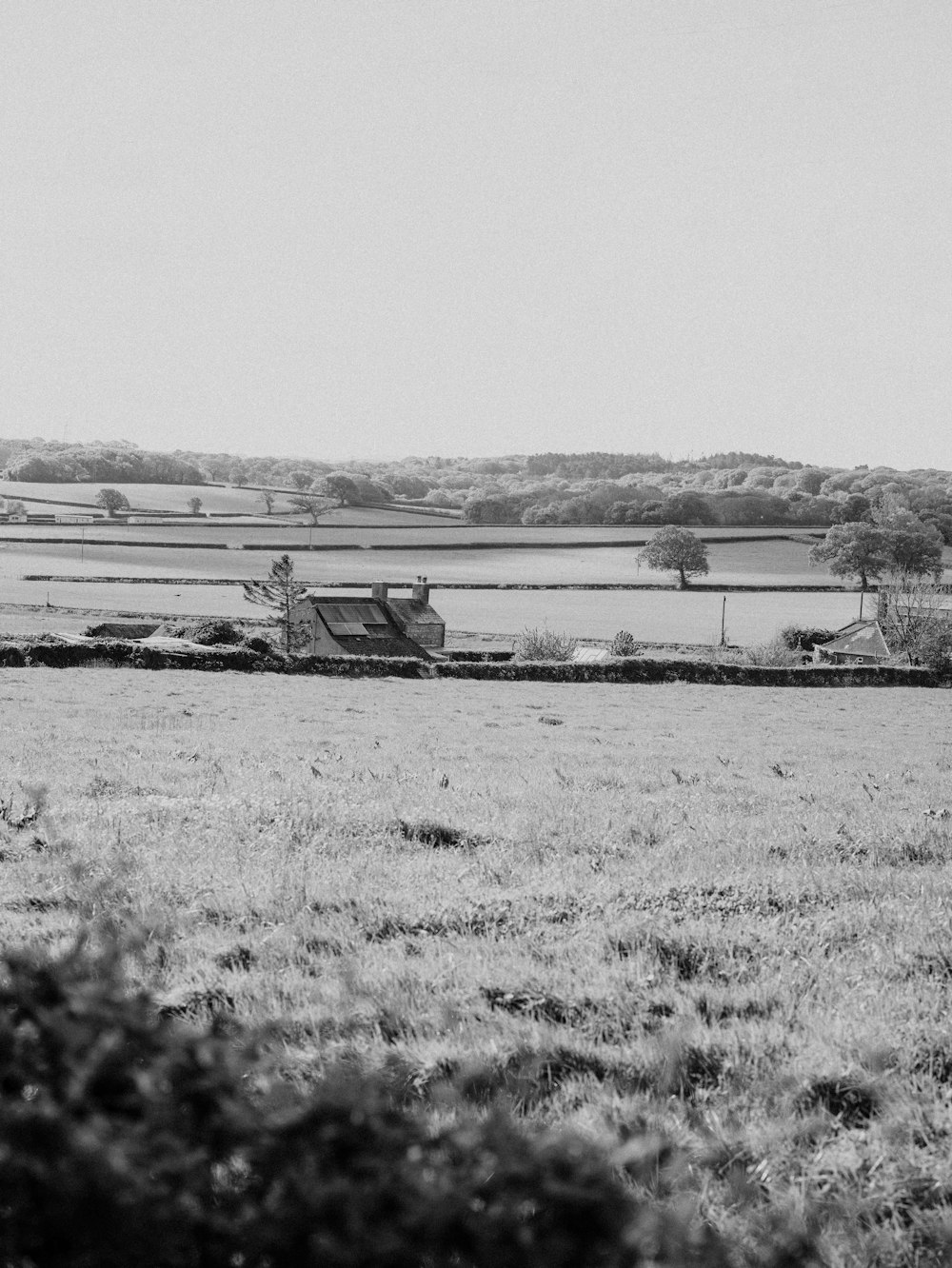 a black and white photo of a farm field