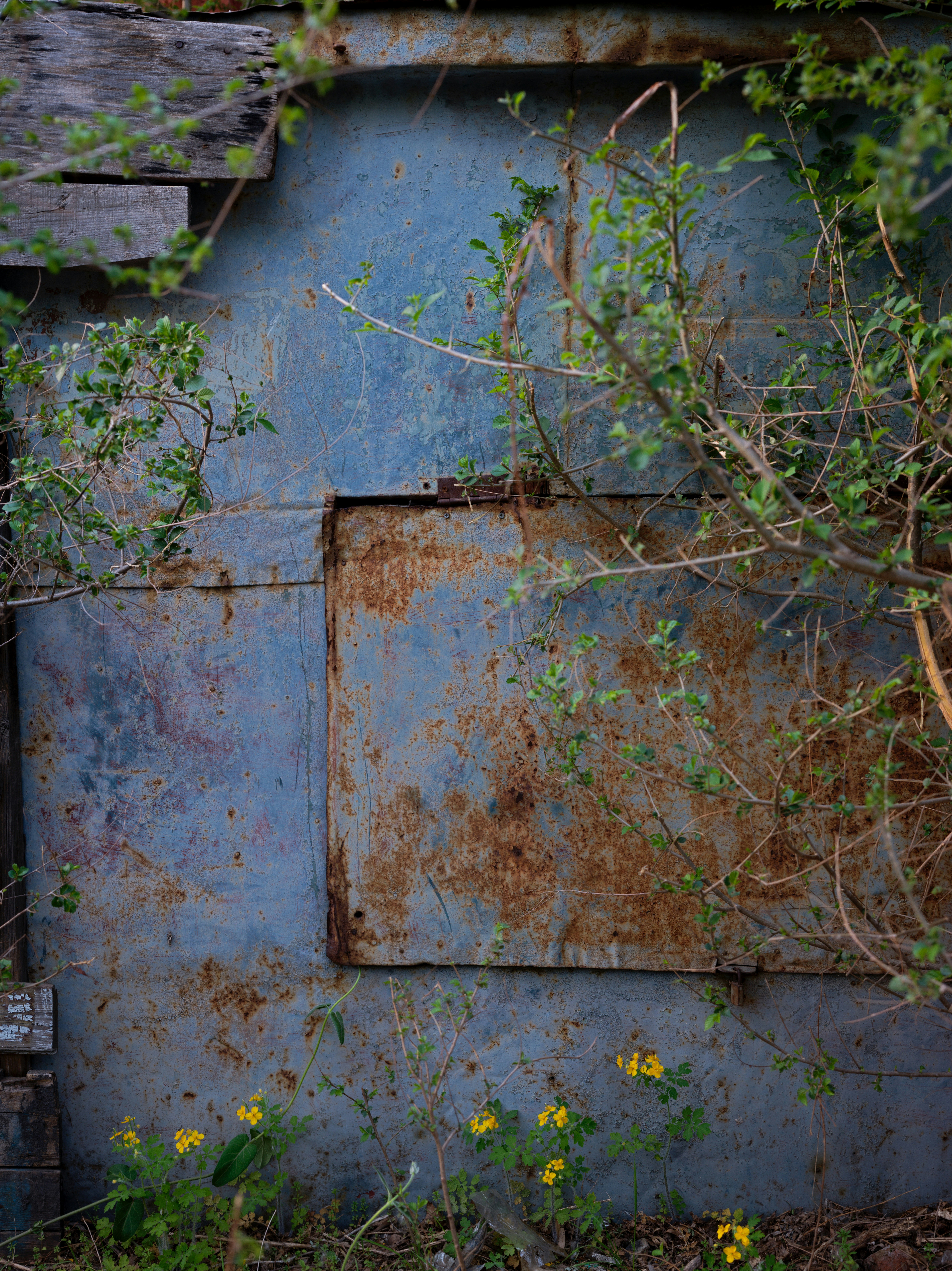 Photo by chrisdof_gsn