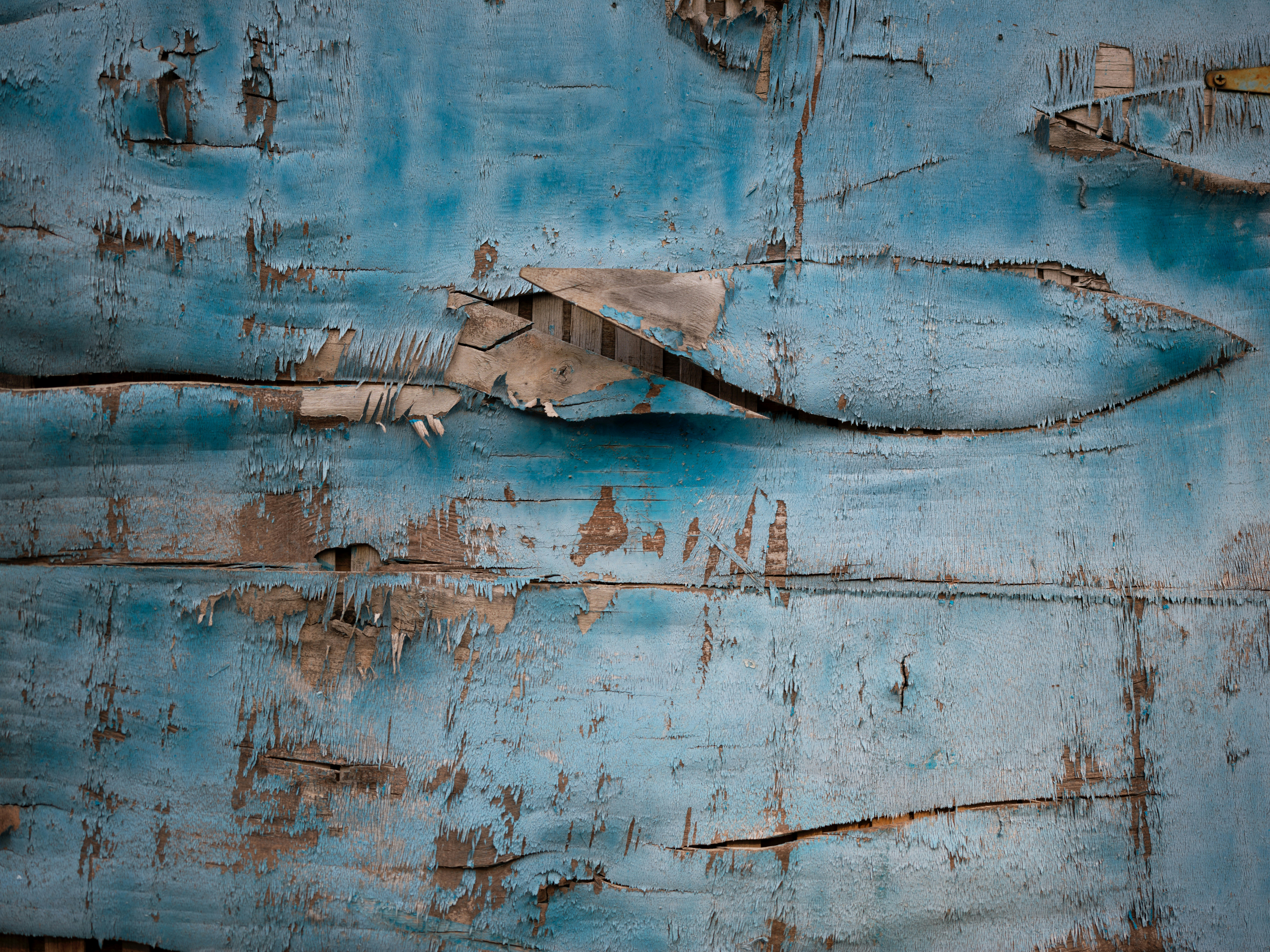 Photo by chrisdof_gsn