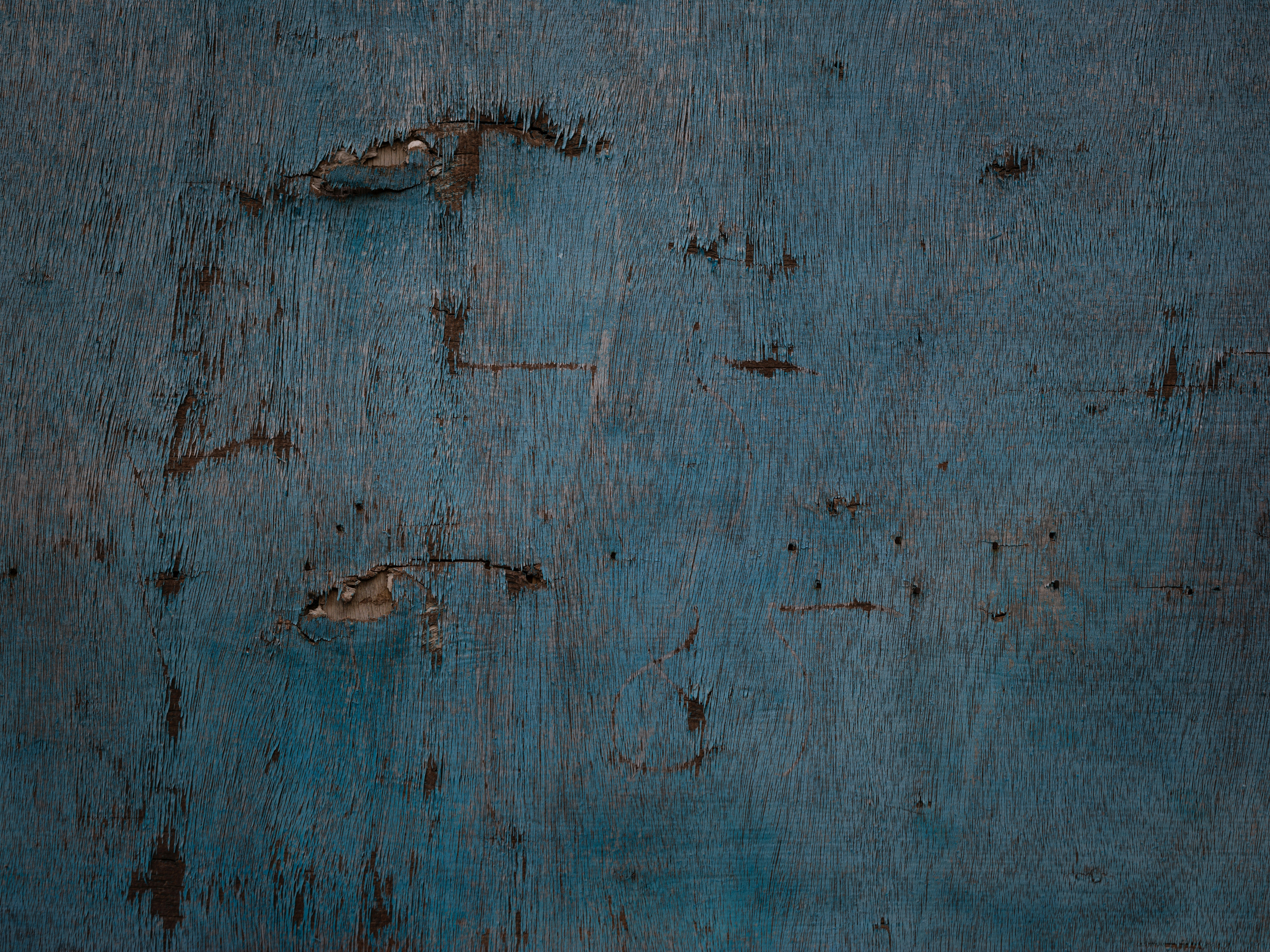 Photo by chrisdof_gsn