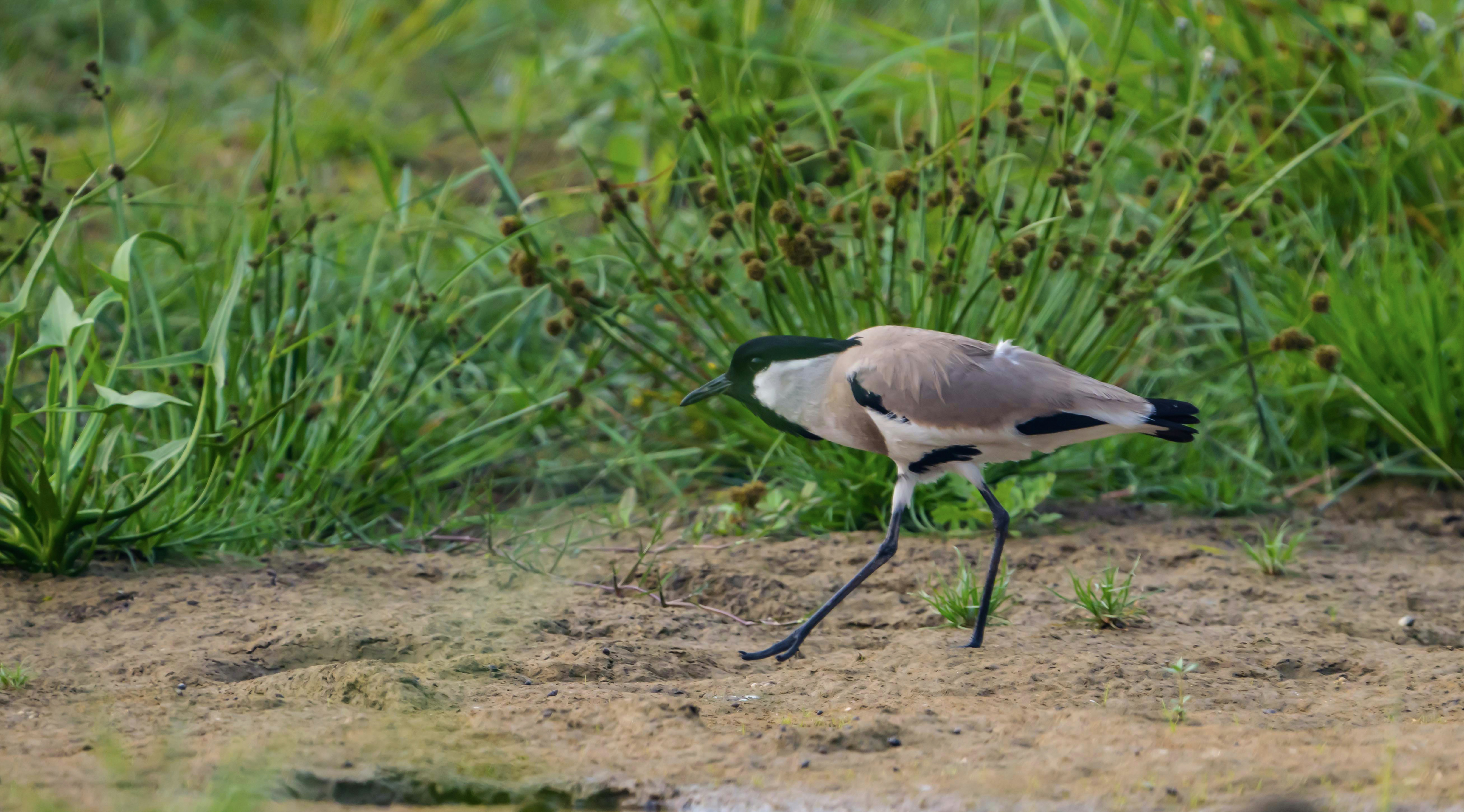 Photo by mhphotography13