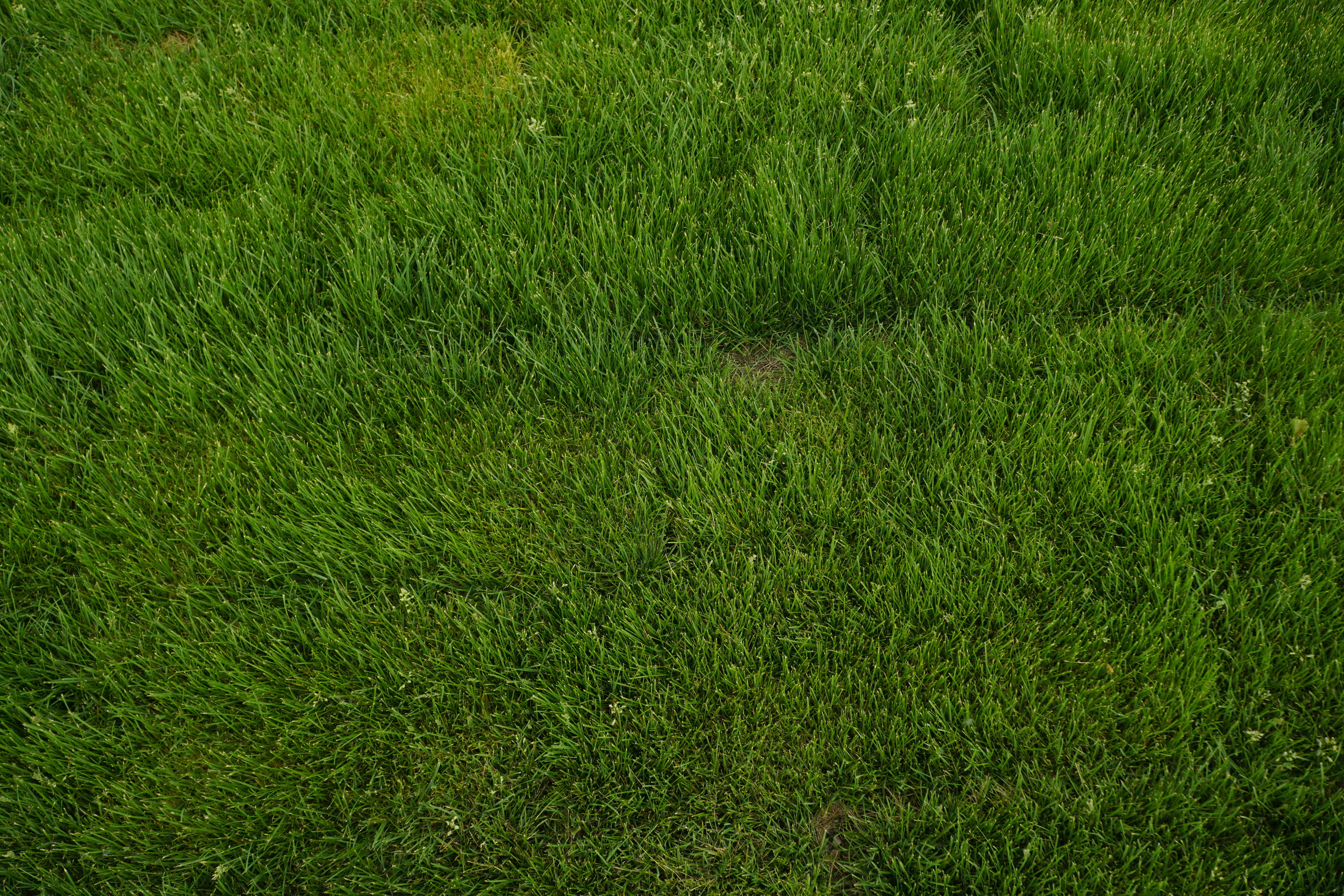 Photo by sundayyexin