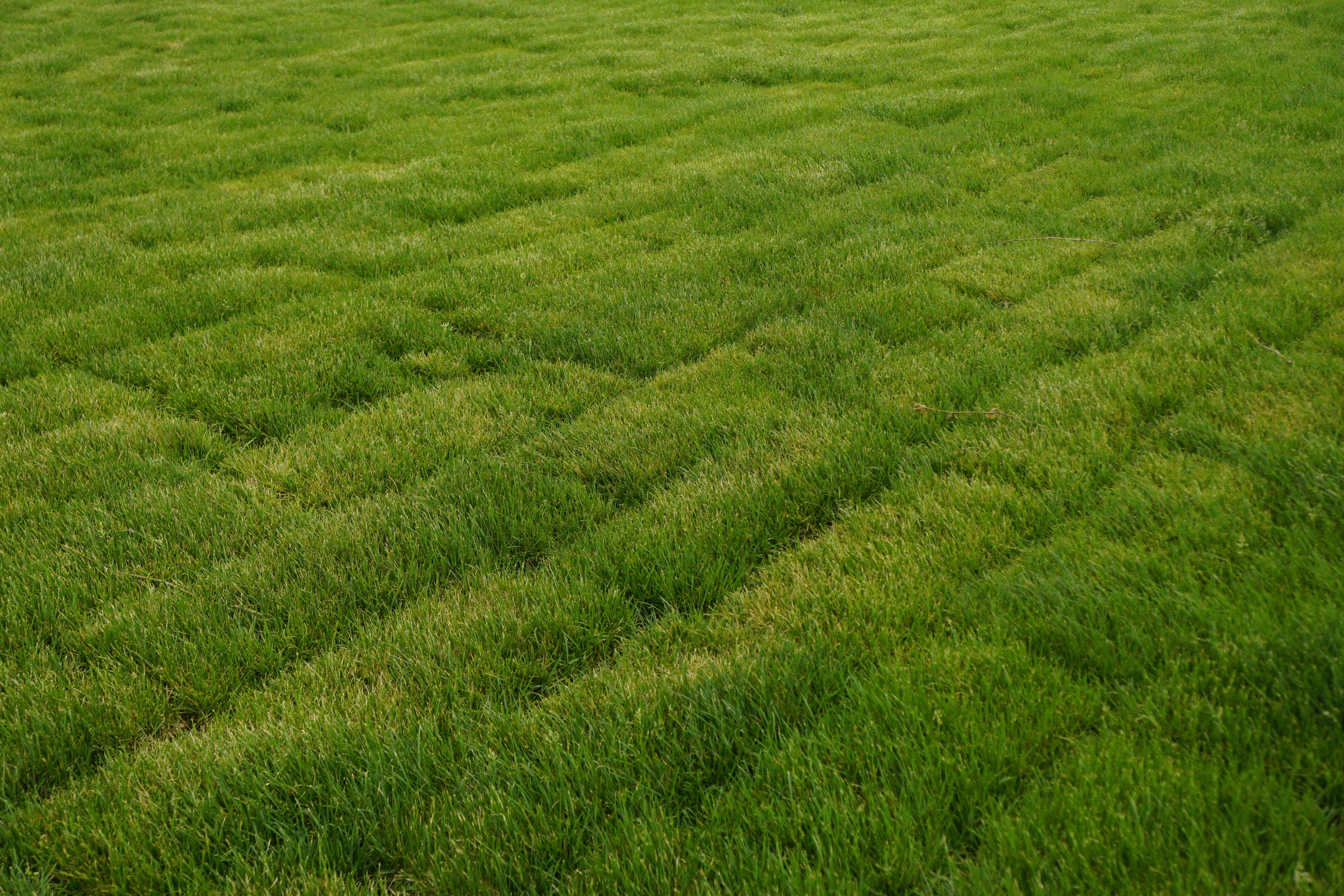 Photo by sundayyexin