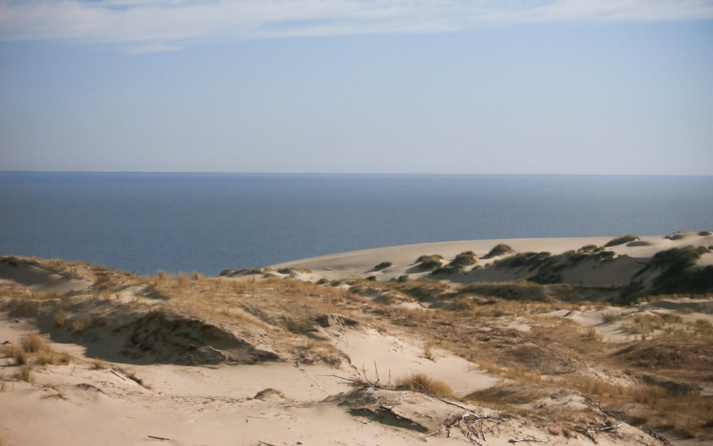 a view of the ocean from a sand dune