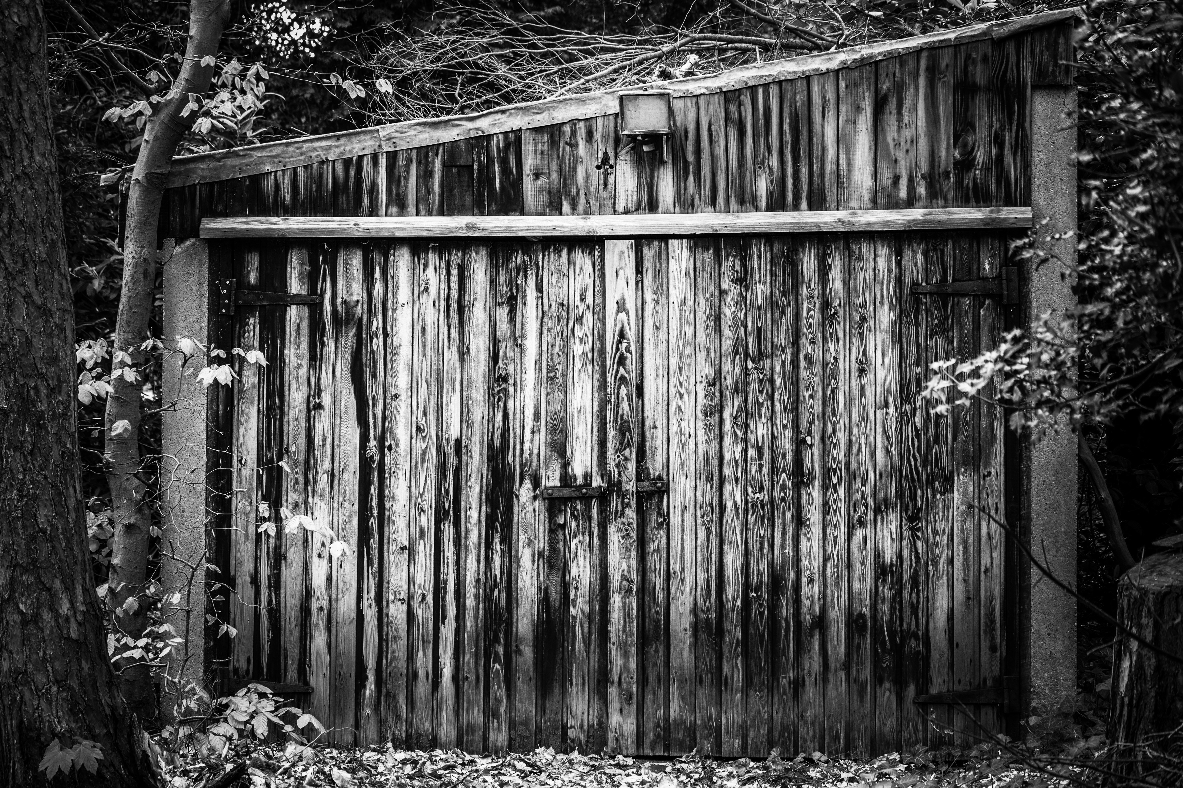 Photo by hooverpaul55