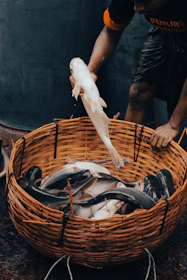 a man holding a fish in a basket