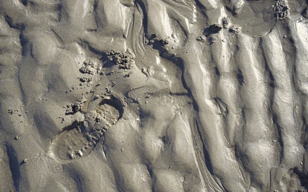 footprints in the sand on a beach
