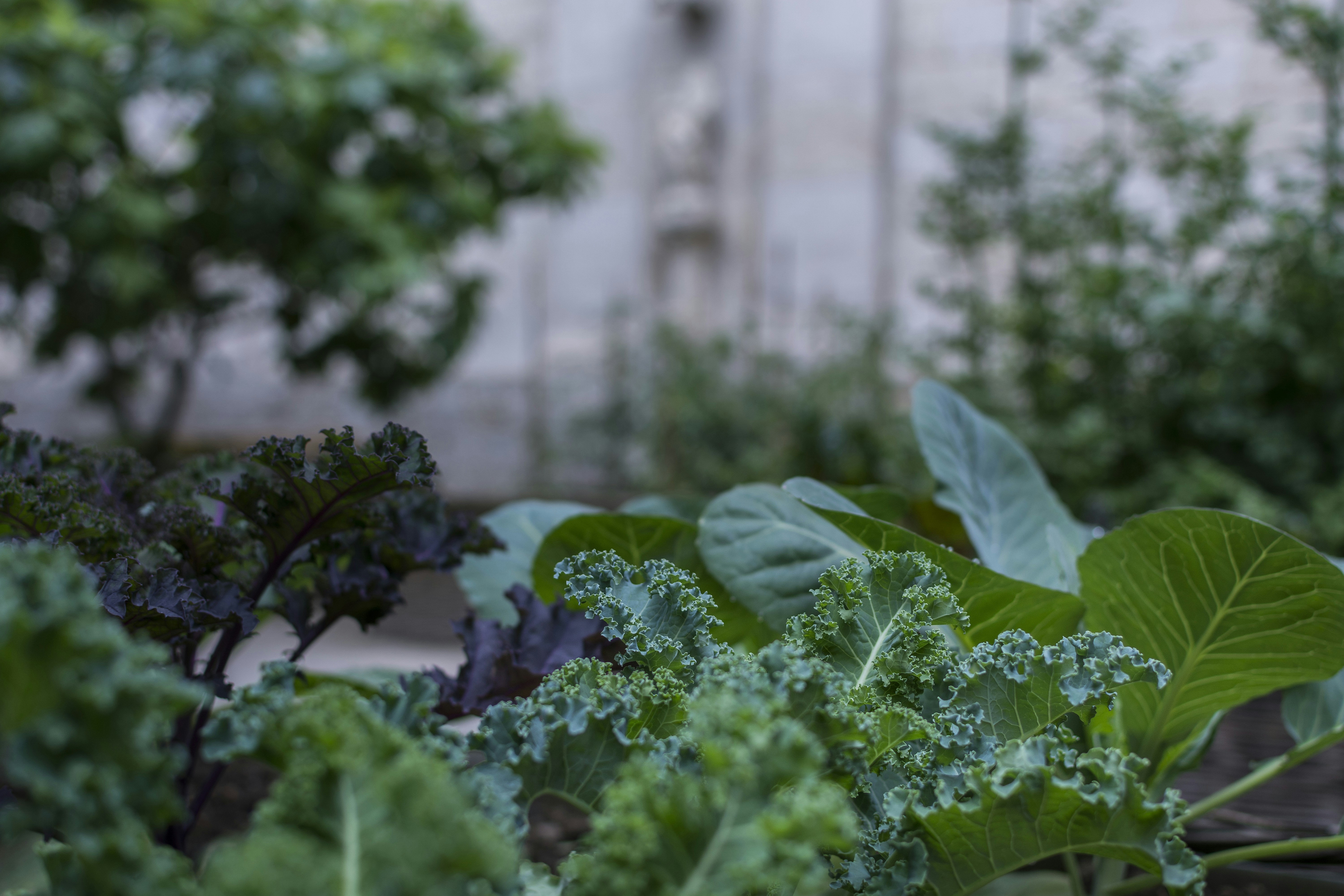 Photo by instantphotos