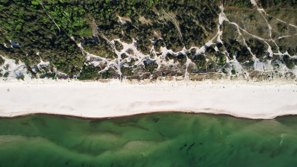 an aerial view of a beach and a body of water