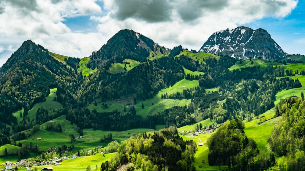 a green valley with a mountain range in the background