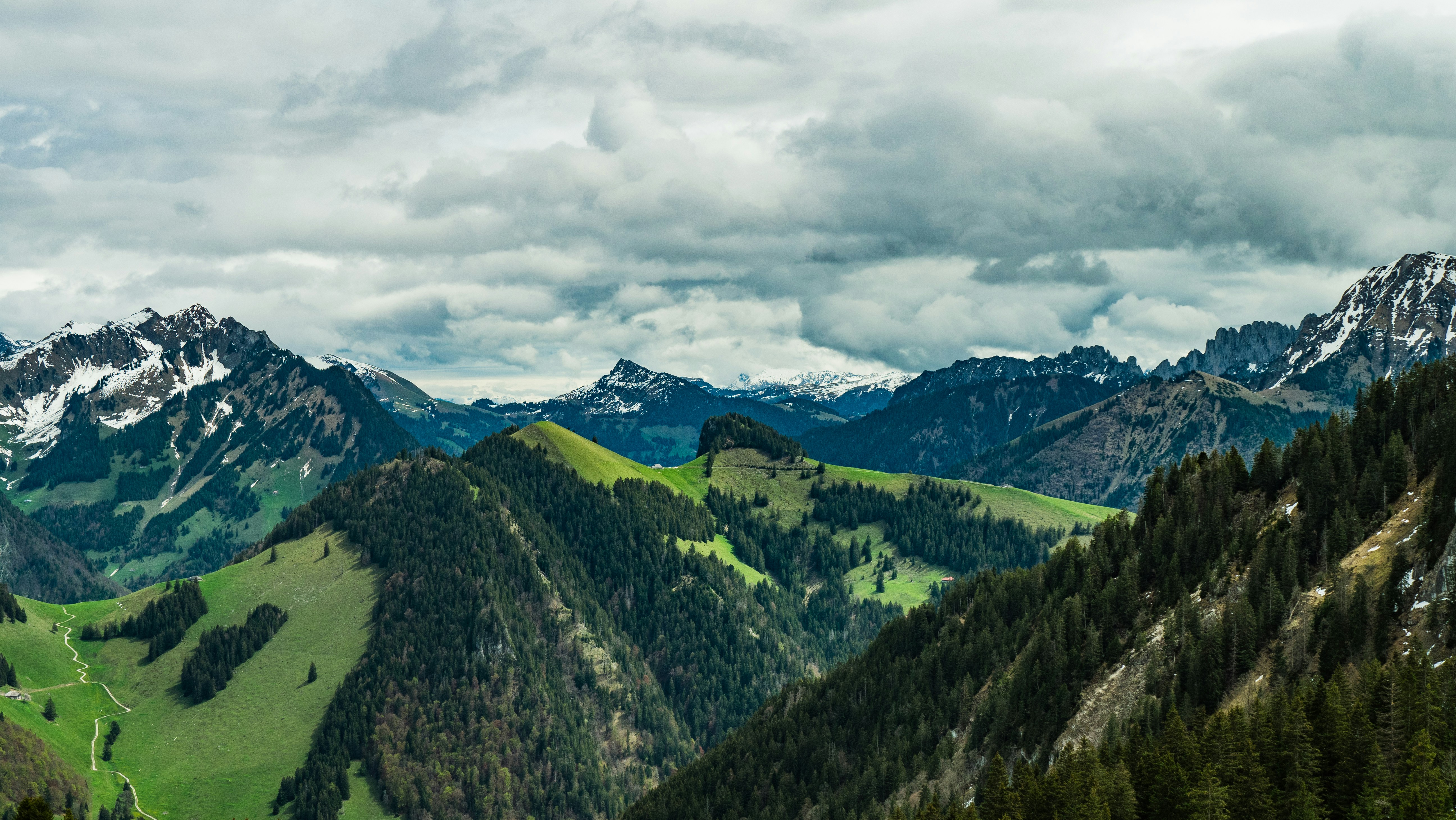 Photo by poli_graphy