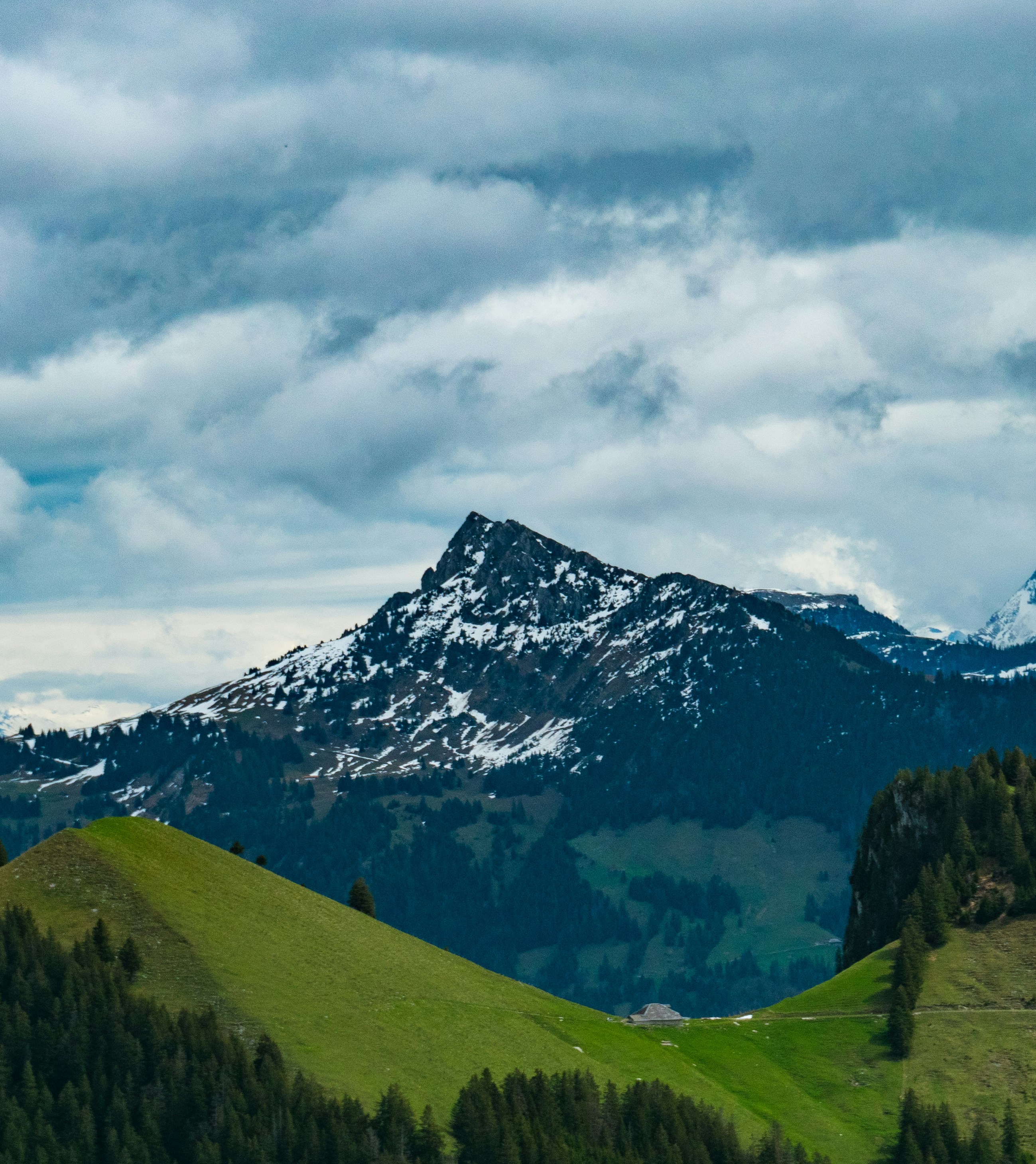 Photo by poli_graphy