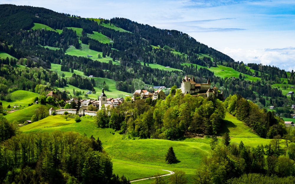 a lush green hillside covered in lots of trees