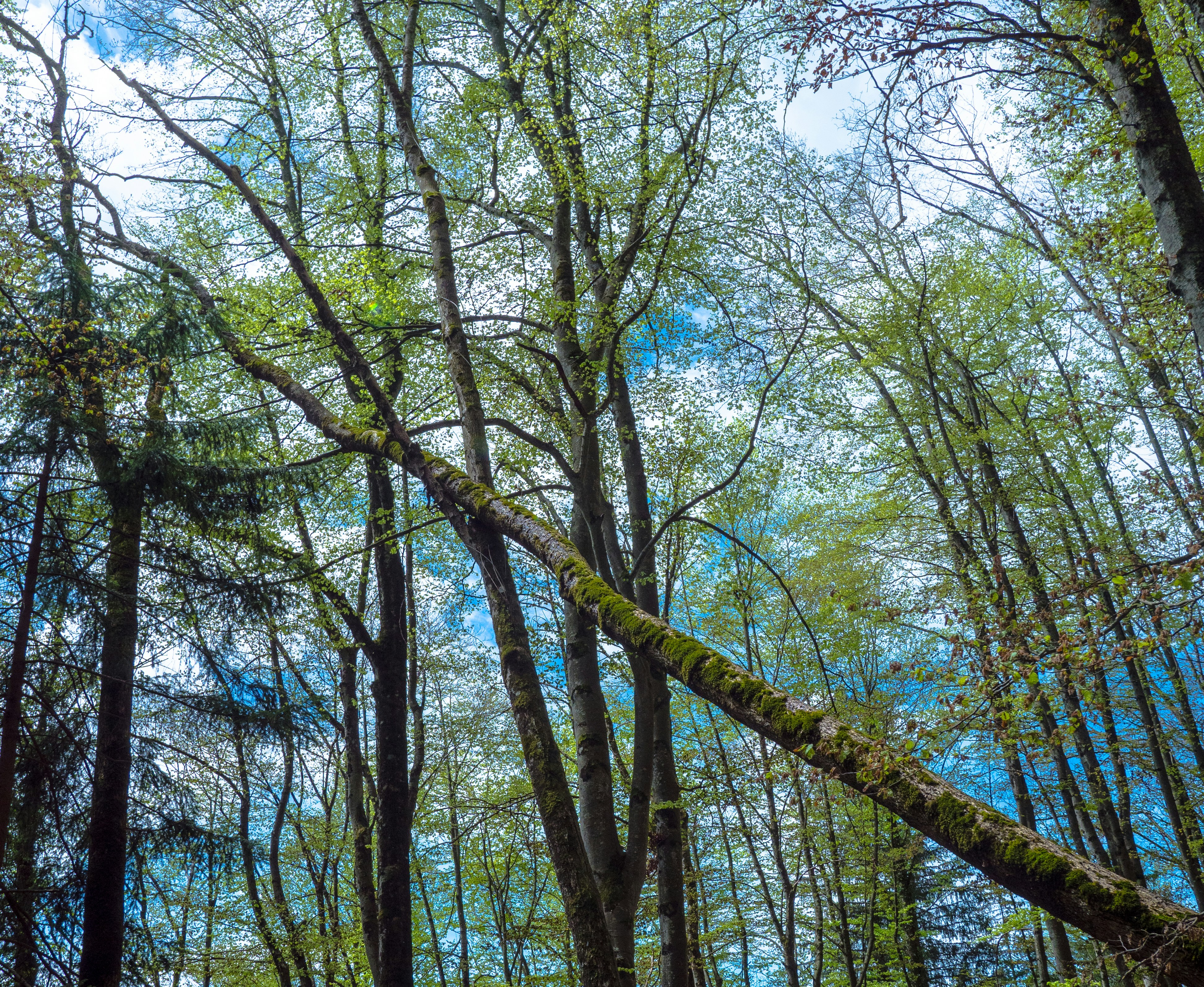 Photo by poli_graphy