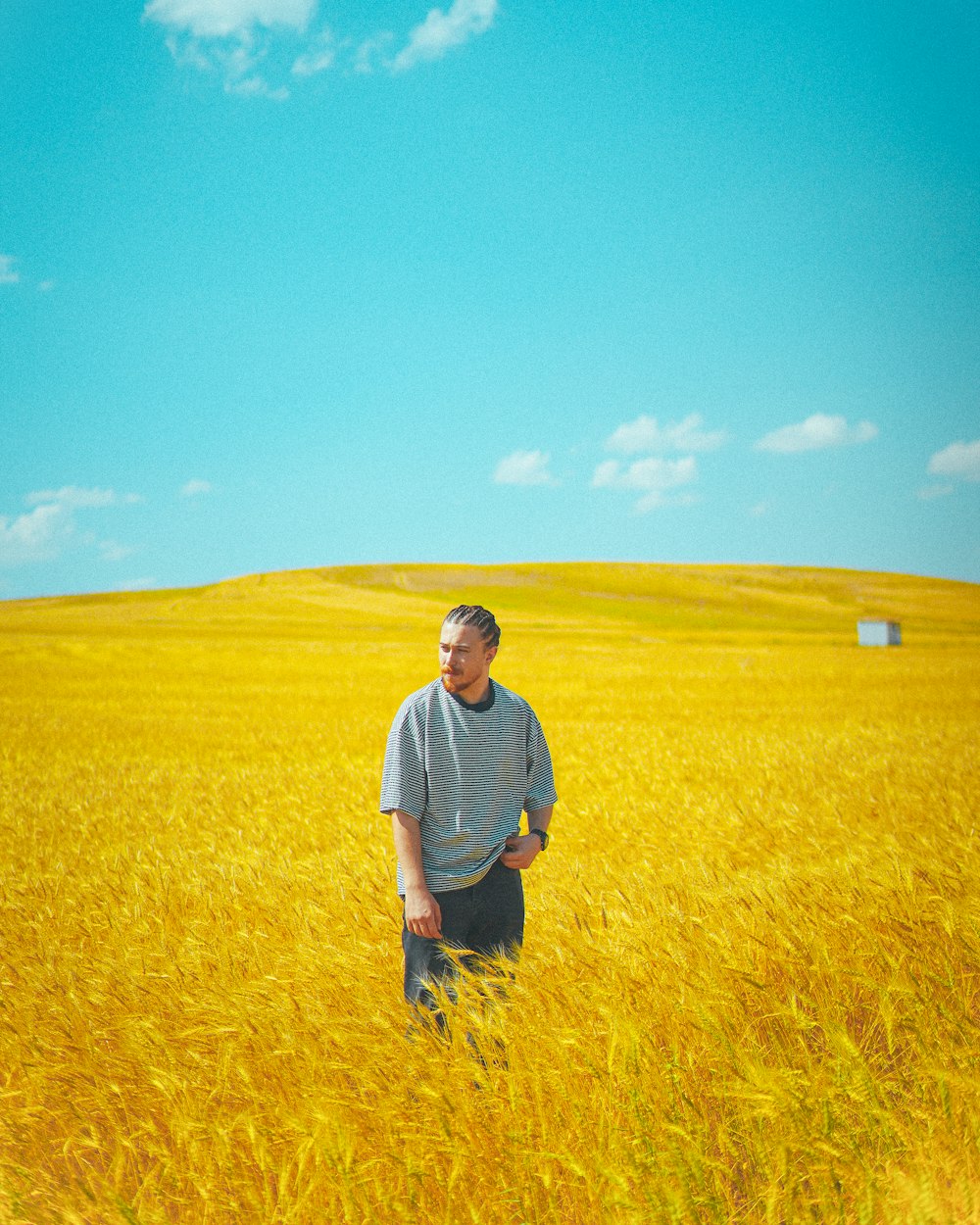 a man standing in a field of tall grass