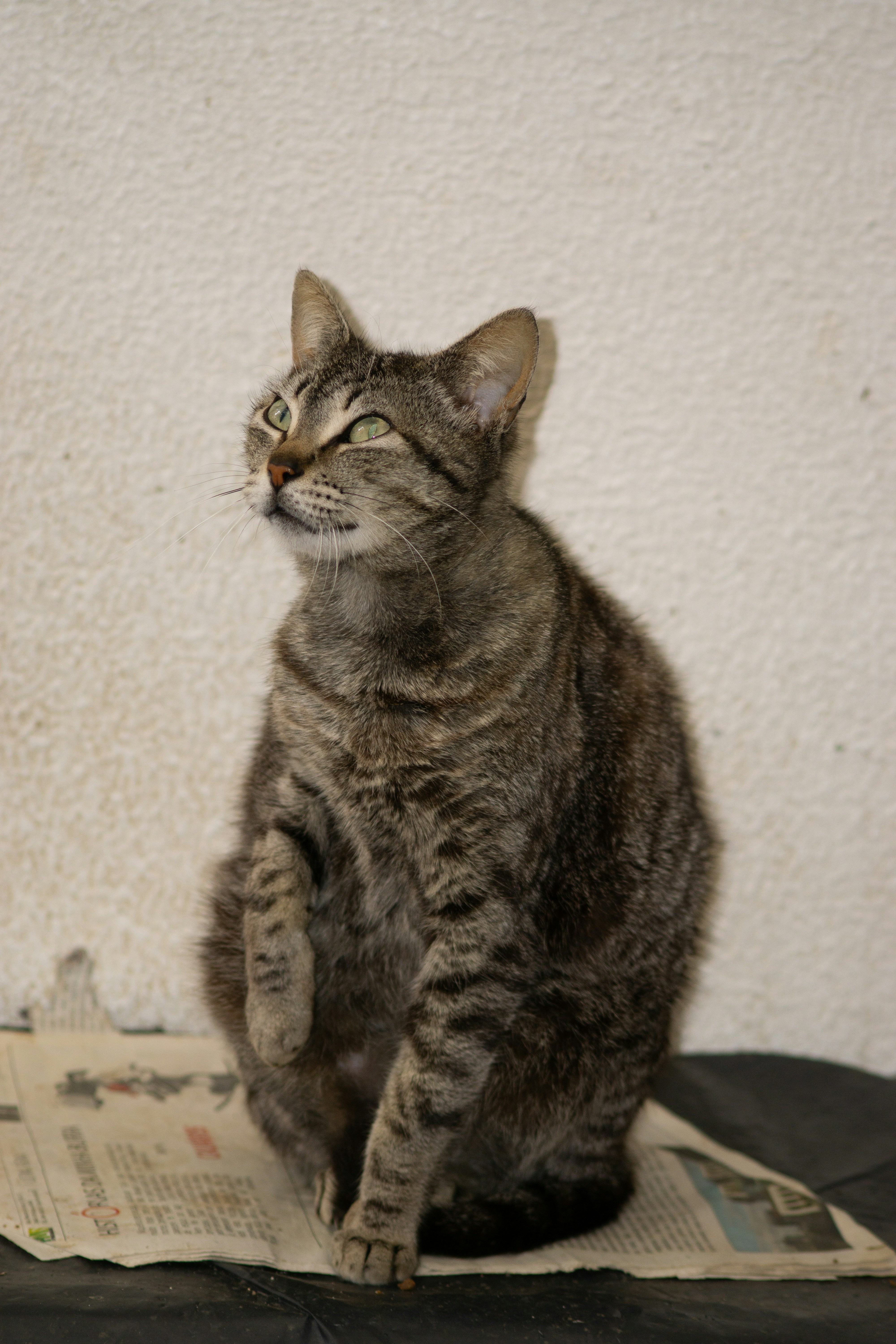 Photo by diogocardoso28