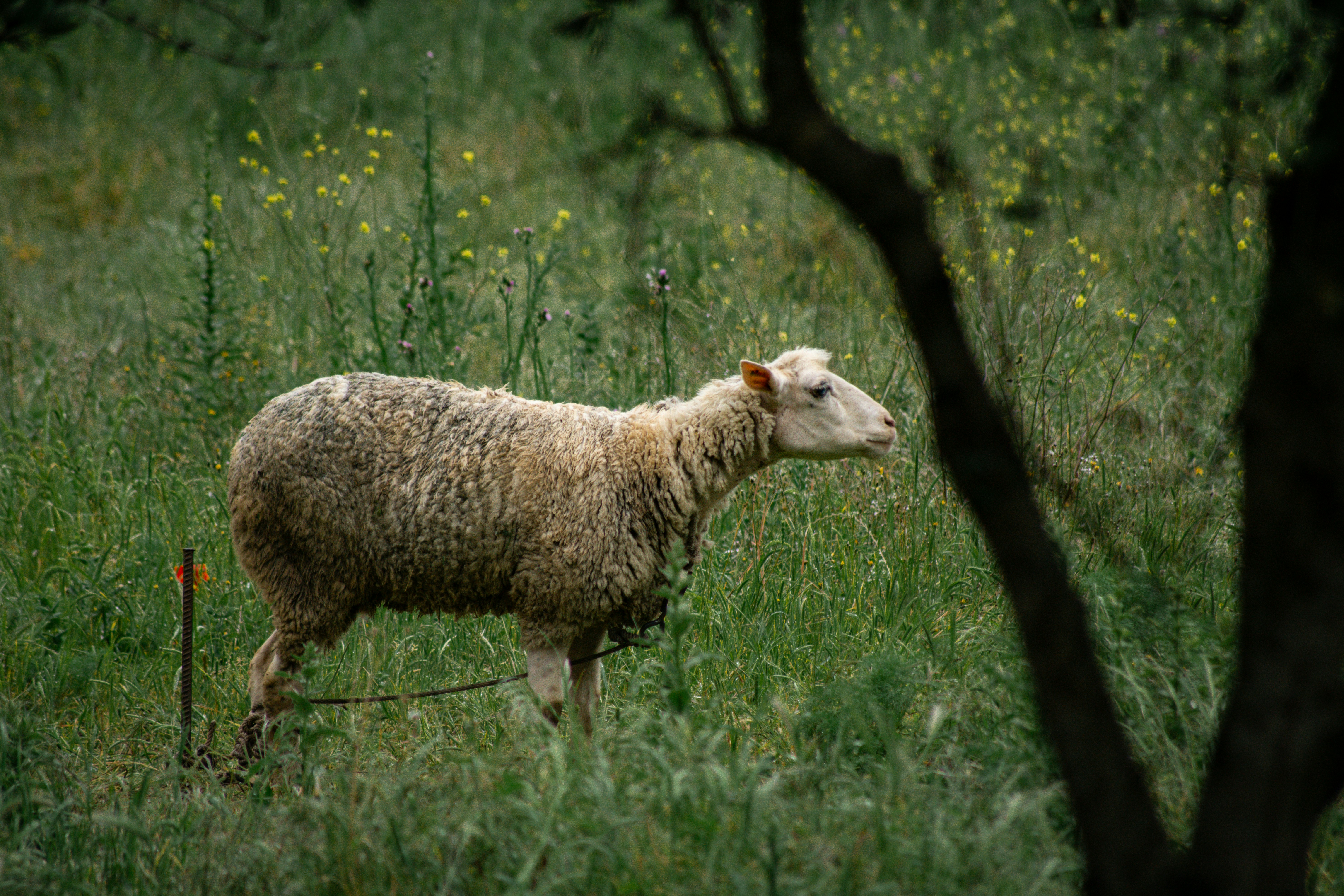 Photo by diogocardoso28