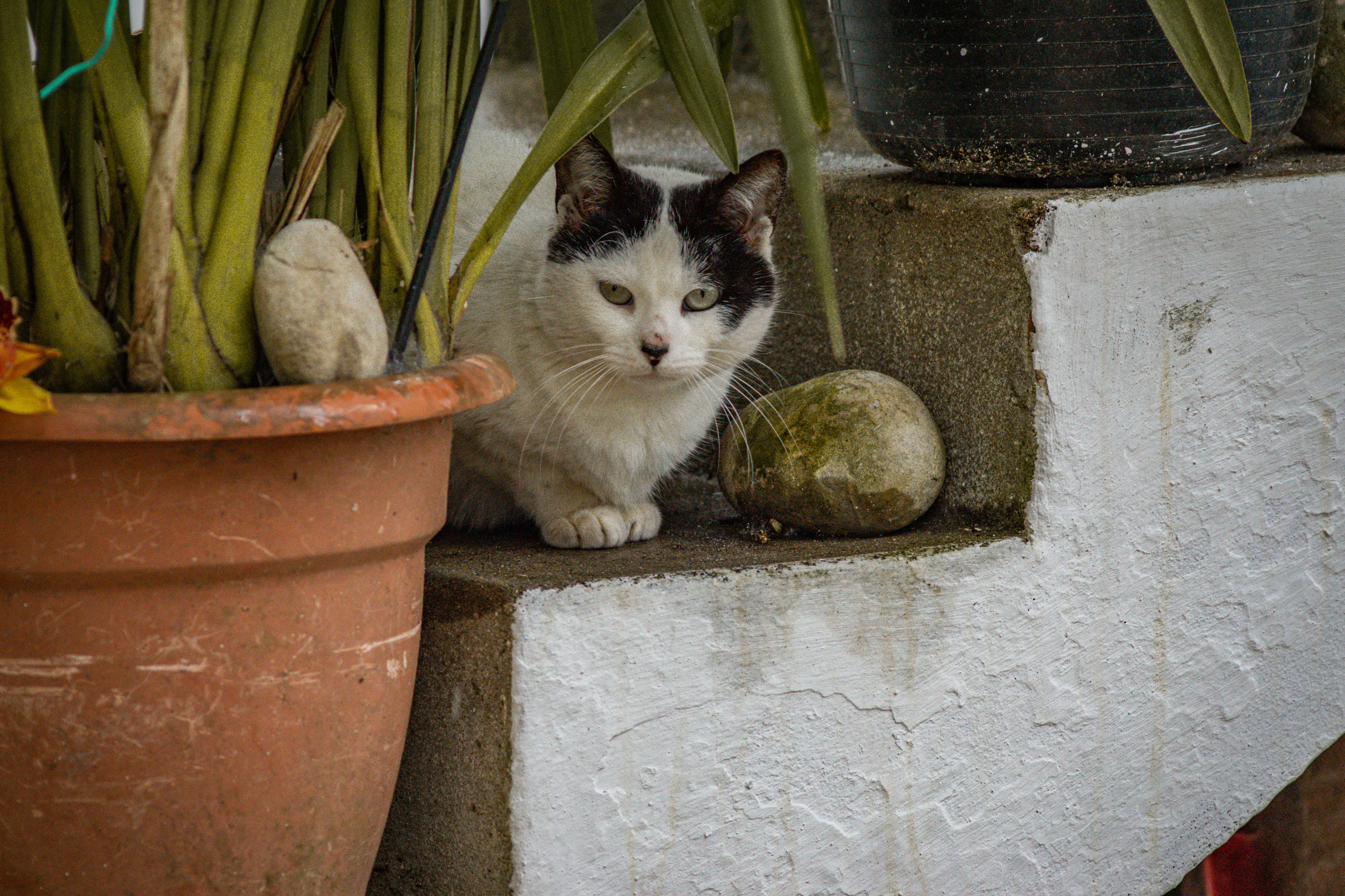 Photo by diogocardoso28